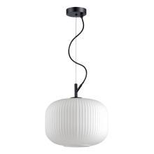Подвесные Подвесной светильник Odeon Light Pendant Roofi 4754/1, доставка по Казахстану 