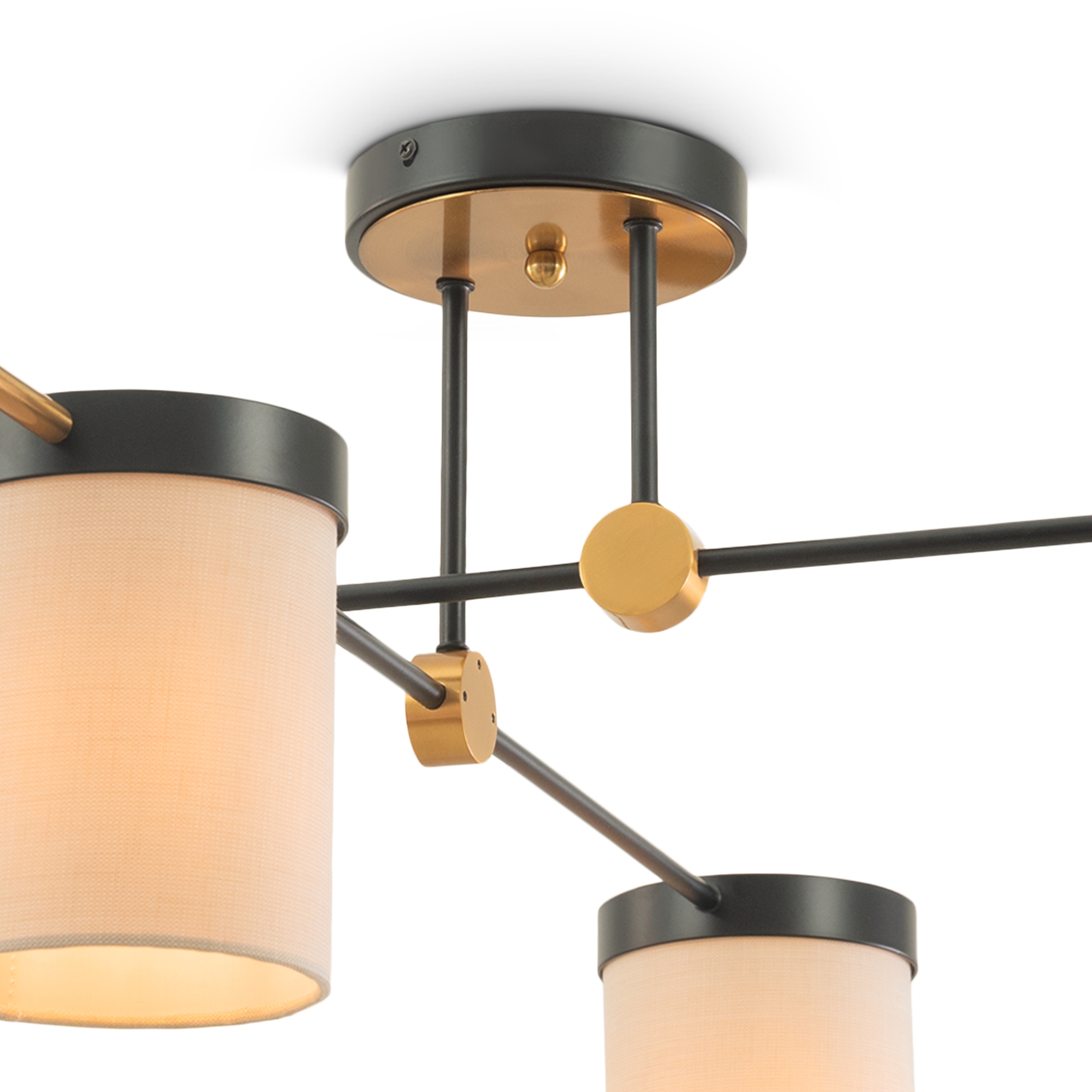 Дополнительная картинка Потолочный светильник Freya FR5377CL-04B