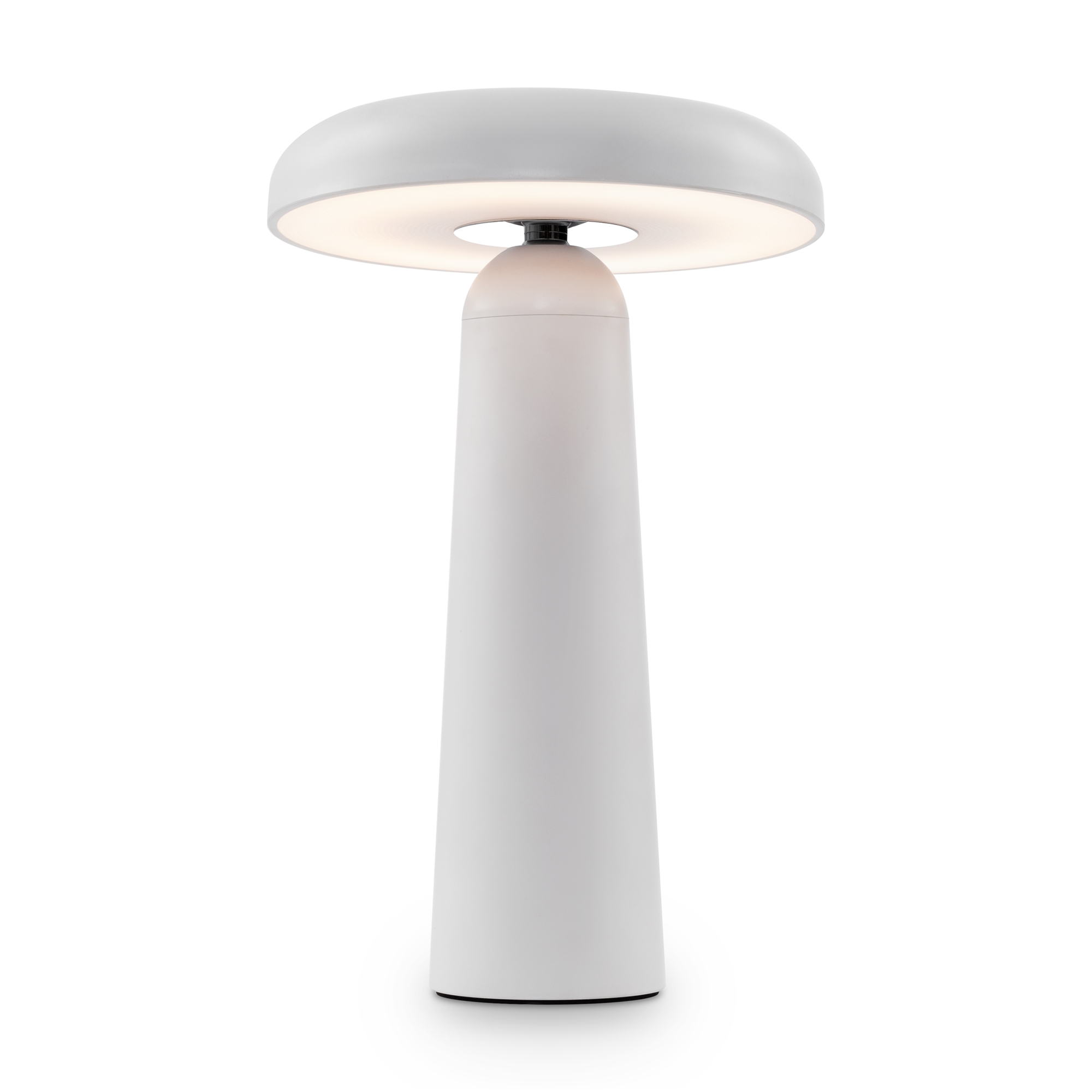 Аккумуляторный светильник Freya FR6109TL-L4W