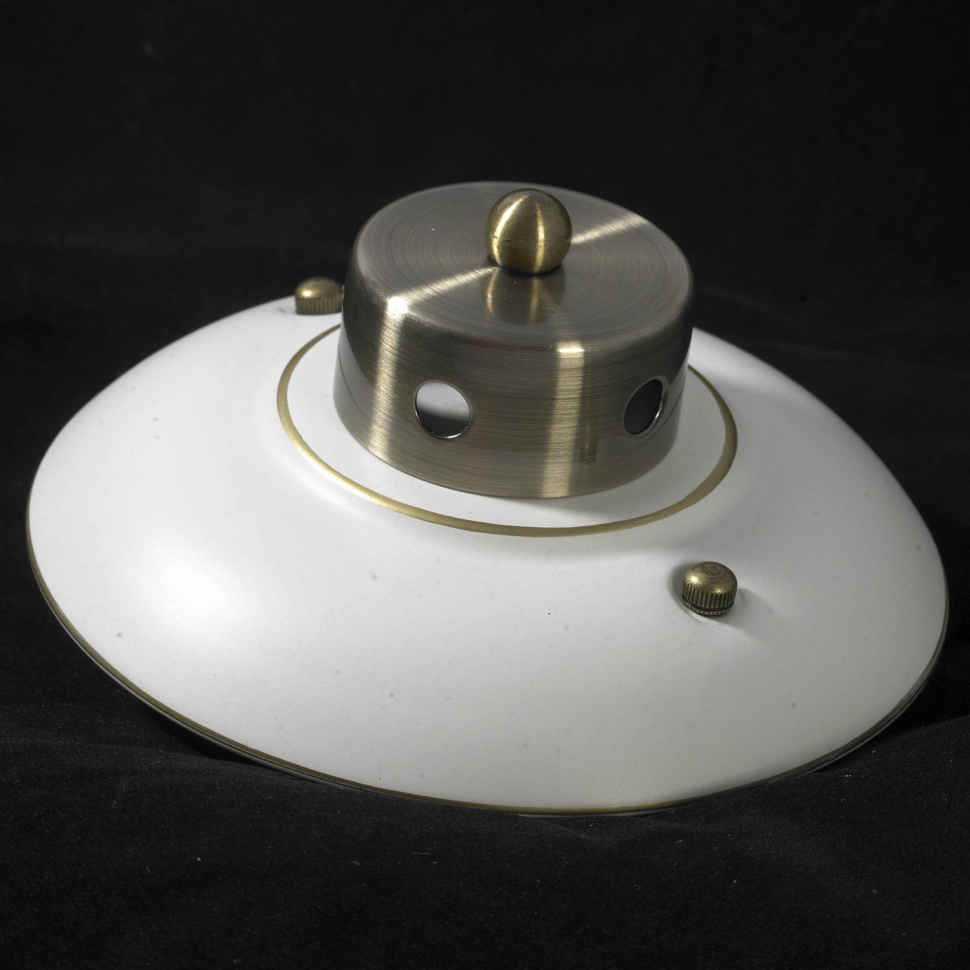 Дополнительная картинка Потолочная люстра Lussole Lgo LSP-0166