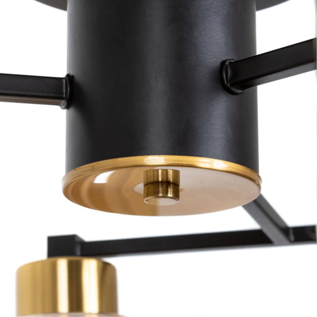 Потолочный светильник Arte Lamp LEO A7027PL-6BK — фото 4