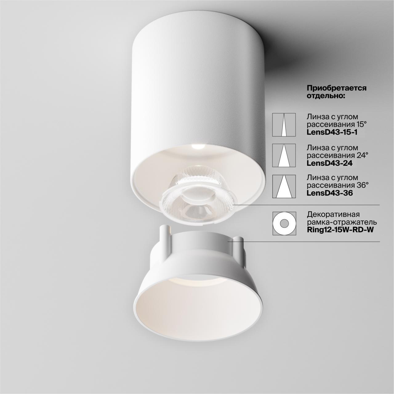 Дополнительная картинка Потолочный светильник Technical C064CL-12W4K-RD-WB