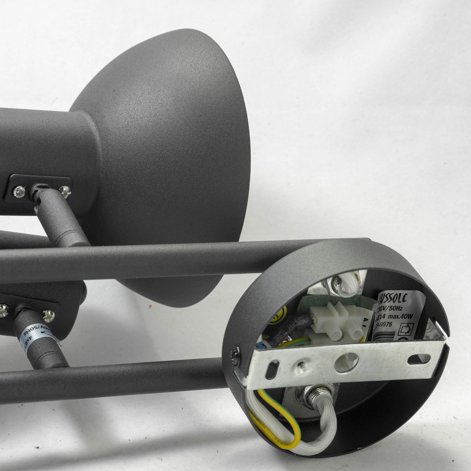 Картинка Спот Lussole Loft LSP-9976