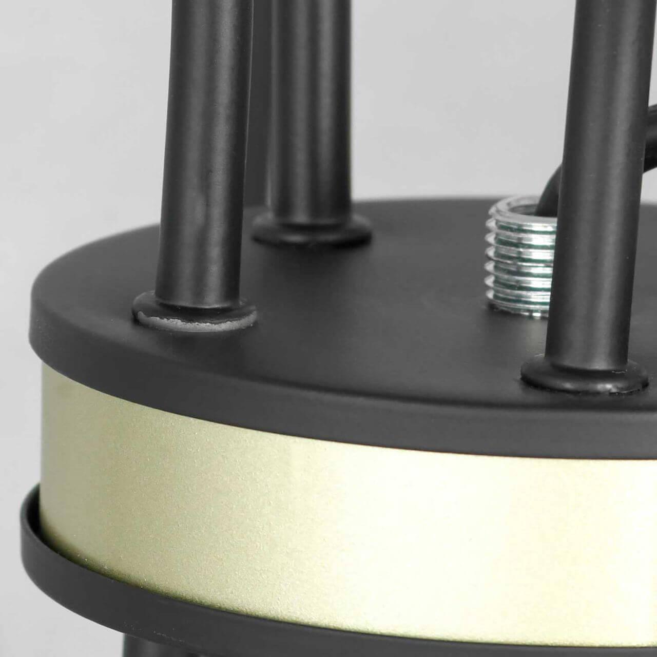 Картинка Подвесная люстра Lussole Lgo Roosevelt LSP-8198