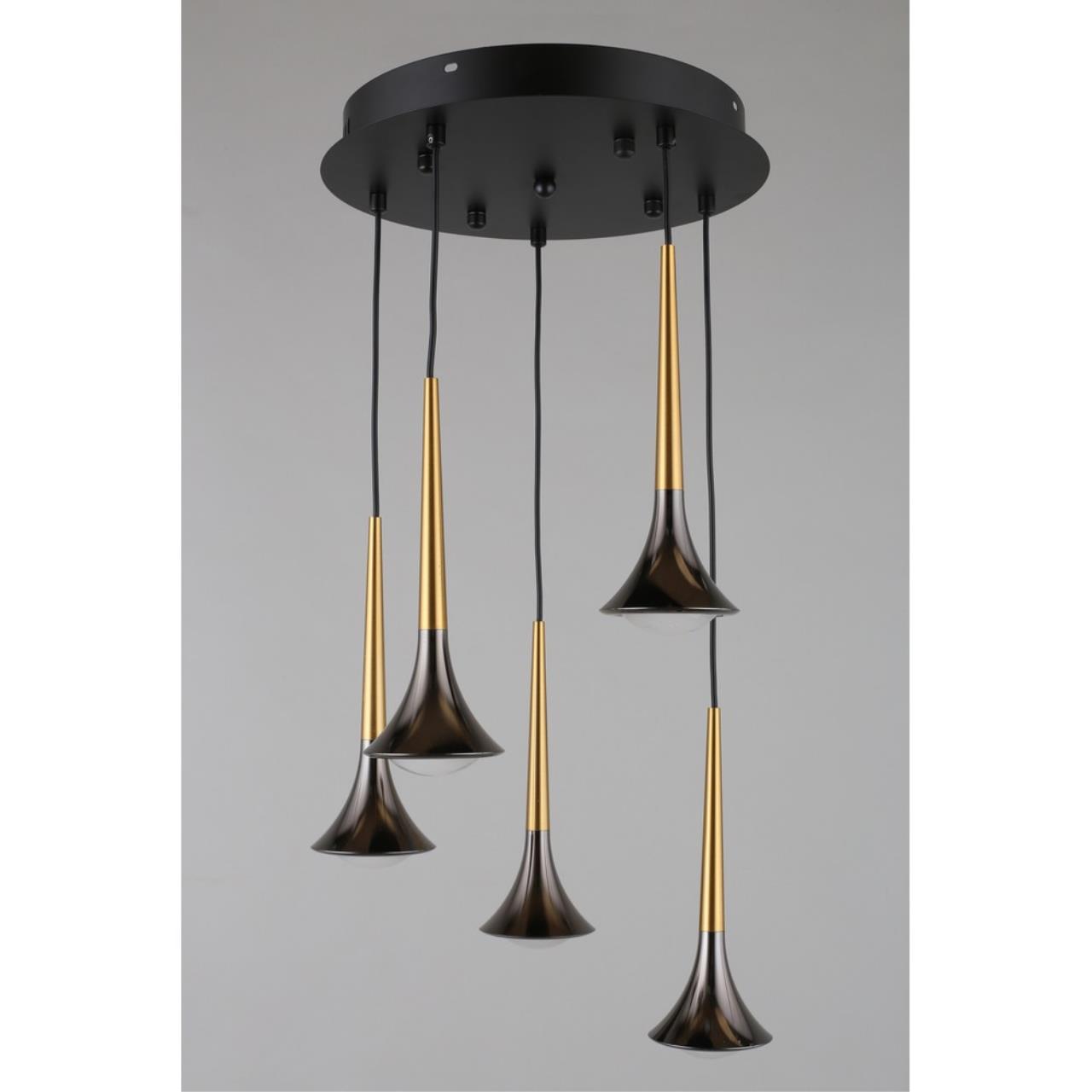 Картинка APL.784.06.05 Светильник подвесной Aployt Agas