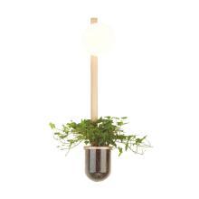 Для растений Настенный светильник Odeon Light Walli Flower 4682/1WB, доставка по Казахстану 
