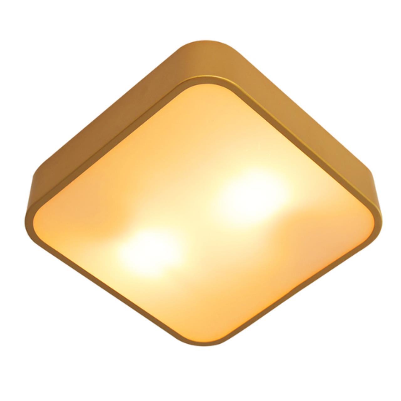 Дополнительная картинка Потолочный светильник Arte Lamp COSMOPOLITAN A7210PL-2GO