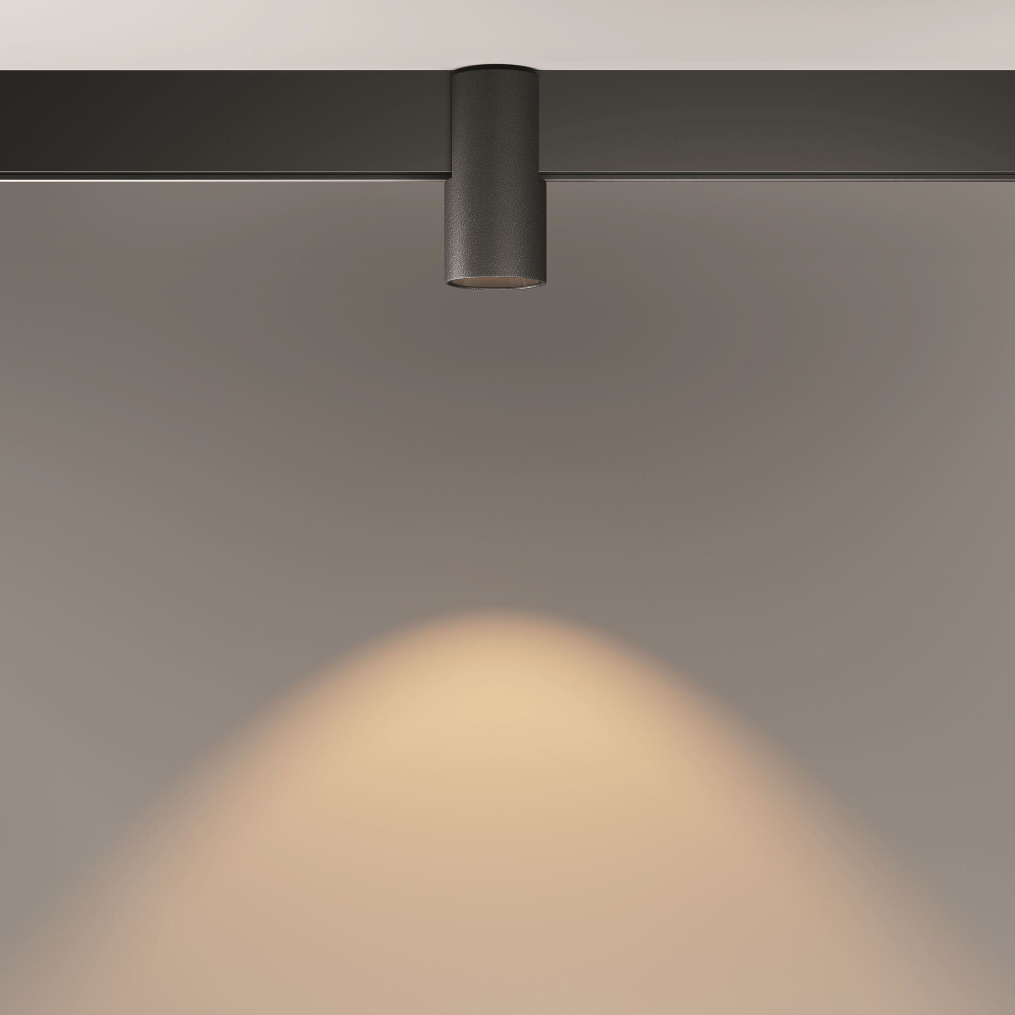 Дополнительная картинка Трековый светильник Technical TR122-2-7W3K-B