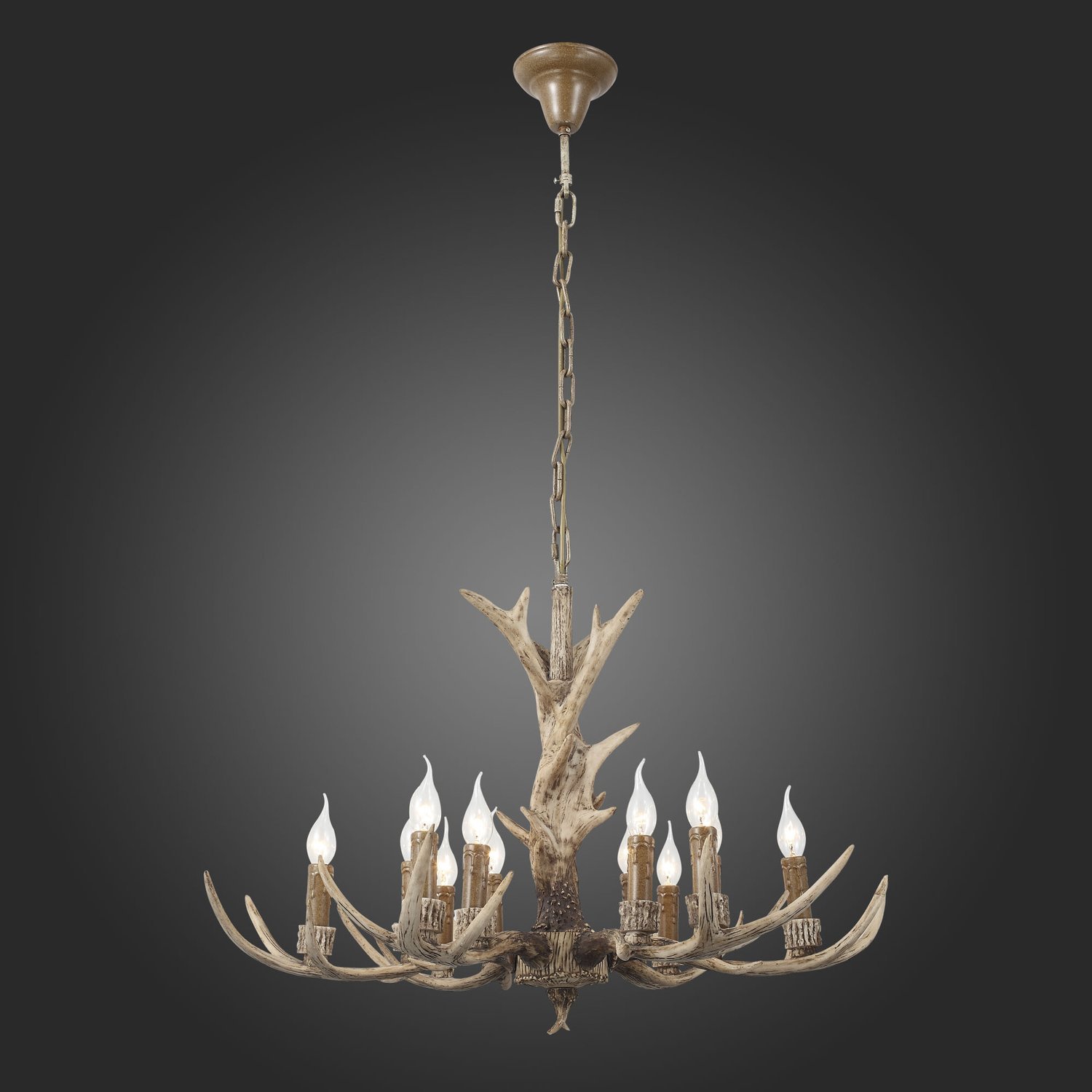Картинка Подвесная люстра ST Luce Renna SL153.703.12