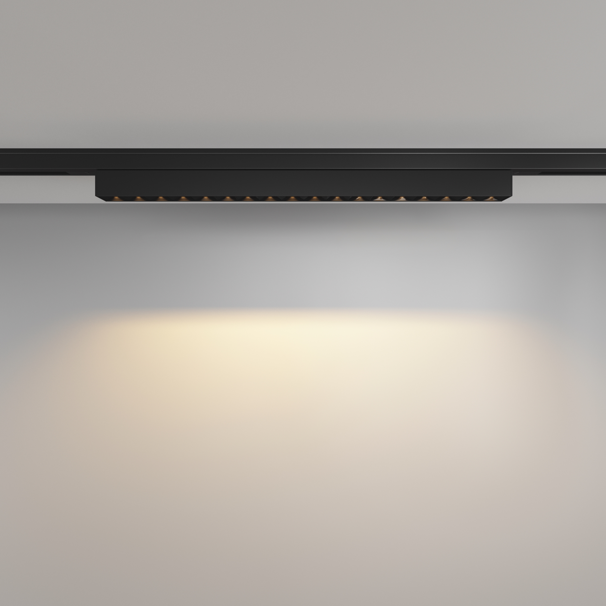 Картинка Трековый светильник Technical TR193-1-15W2.7K-M-B