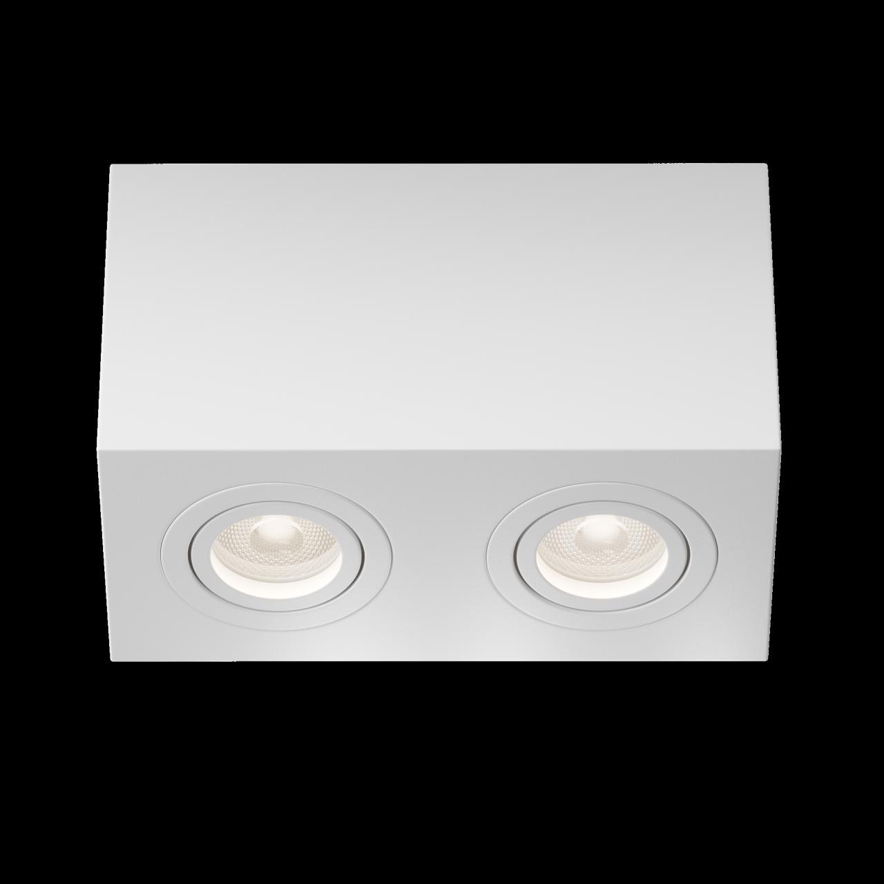 Дополнительная картинка Потолочный светильник Technical C017CL-02W