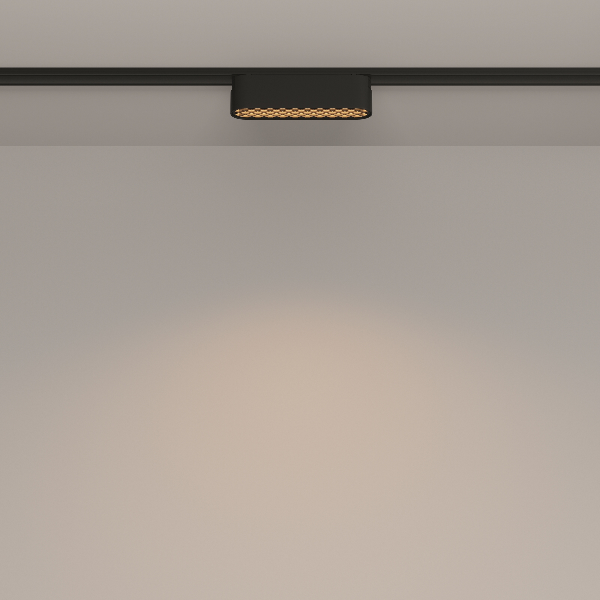 Дополнительная картинка Трековый светильник Technical TR084-1-6W3K-B