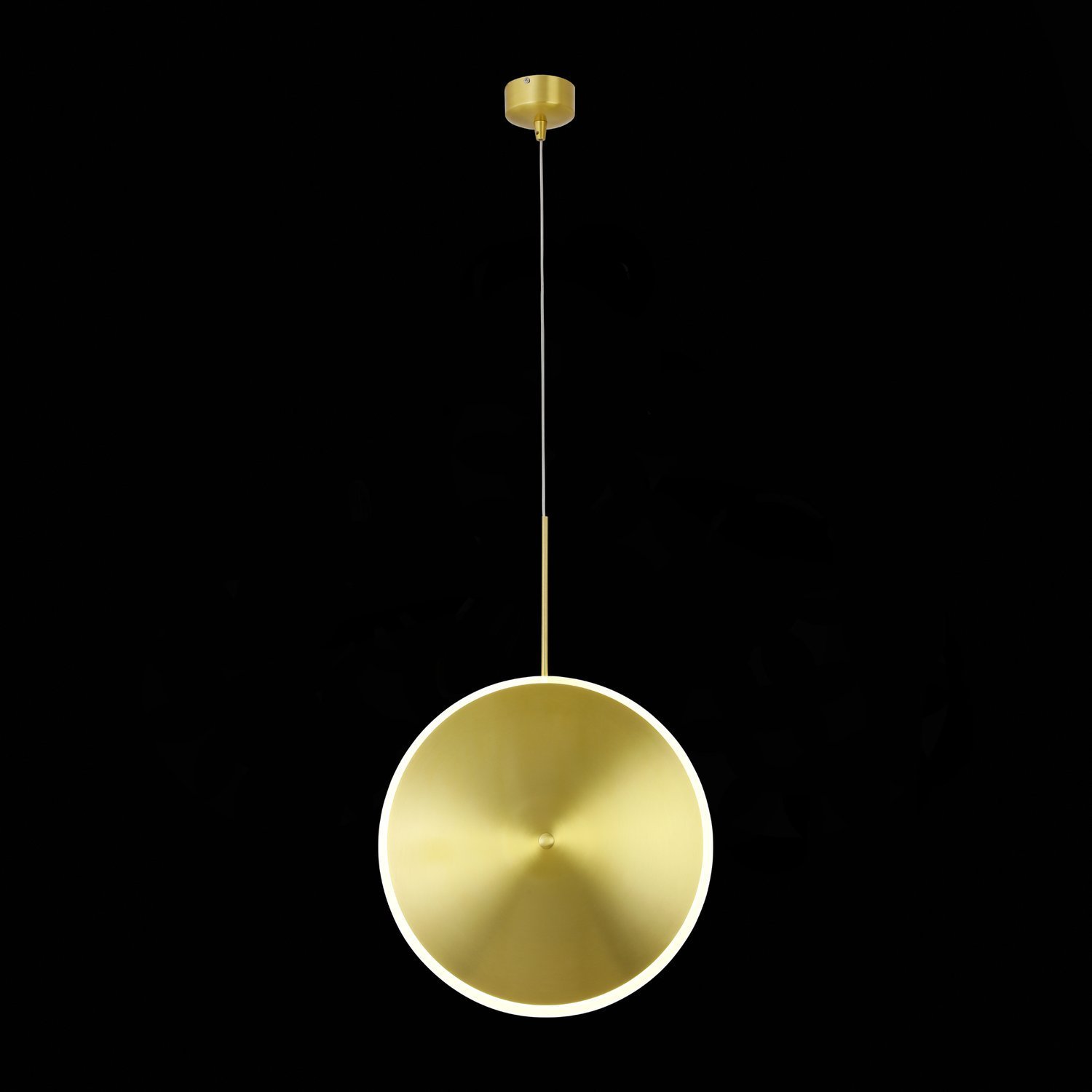 Картинка Подвесной светодиодный светильник ST Luce Imente SL1221.213.01