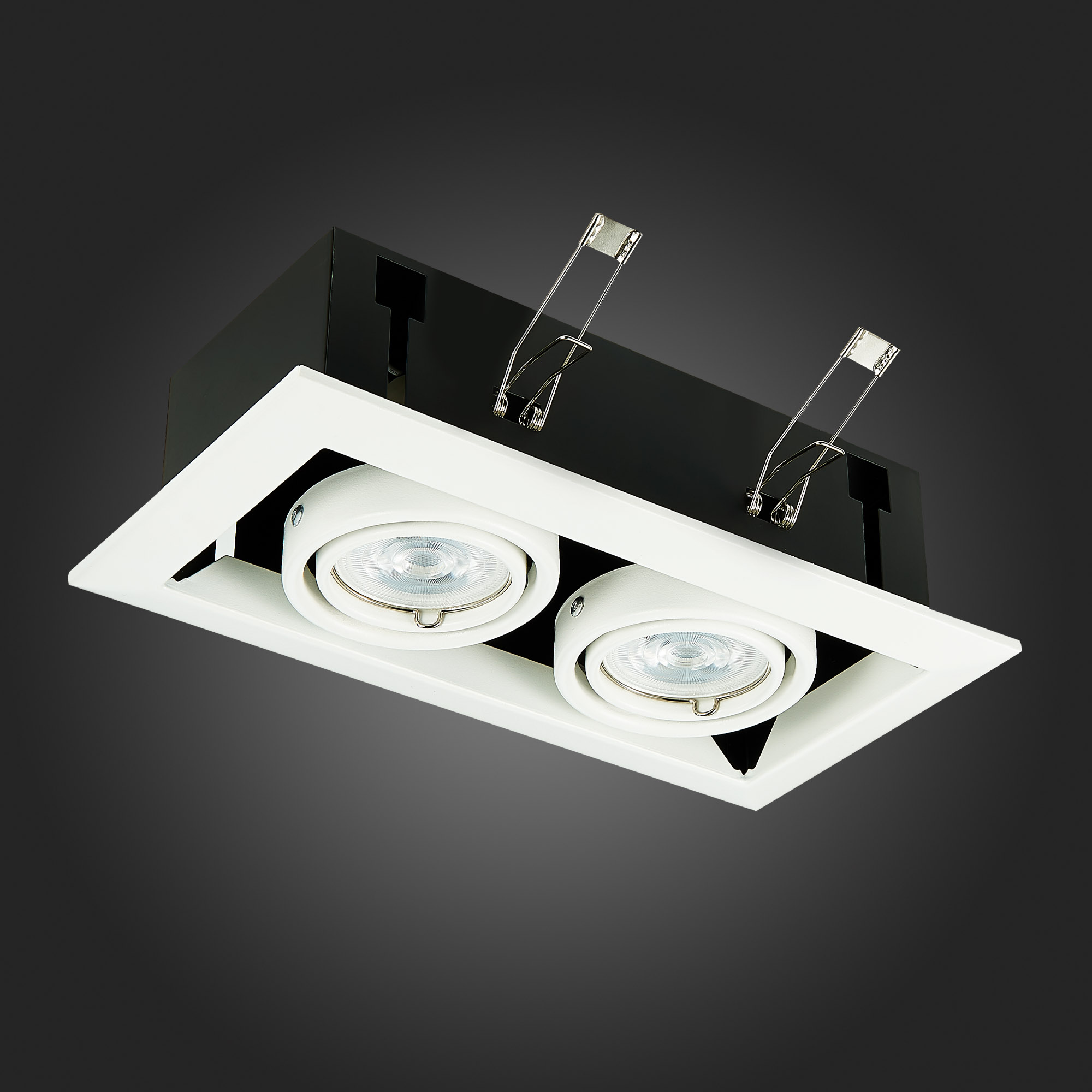 Дополнительная картинка Встраиваемый светильник ST Luce ST250.558.02