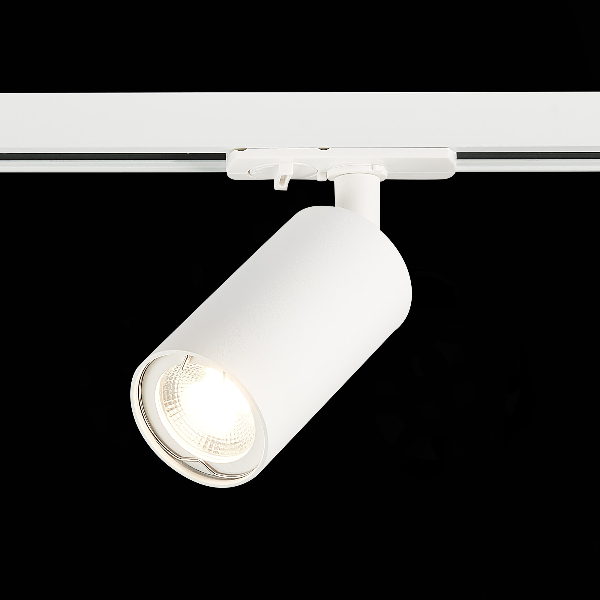 Картинка Трековый светильник ST Luce ST300.506.01