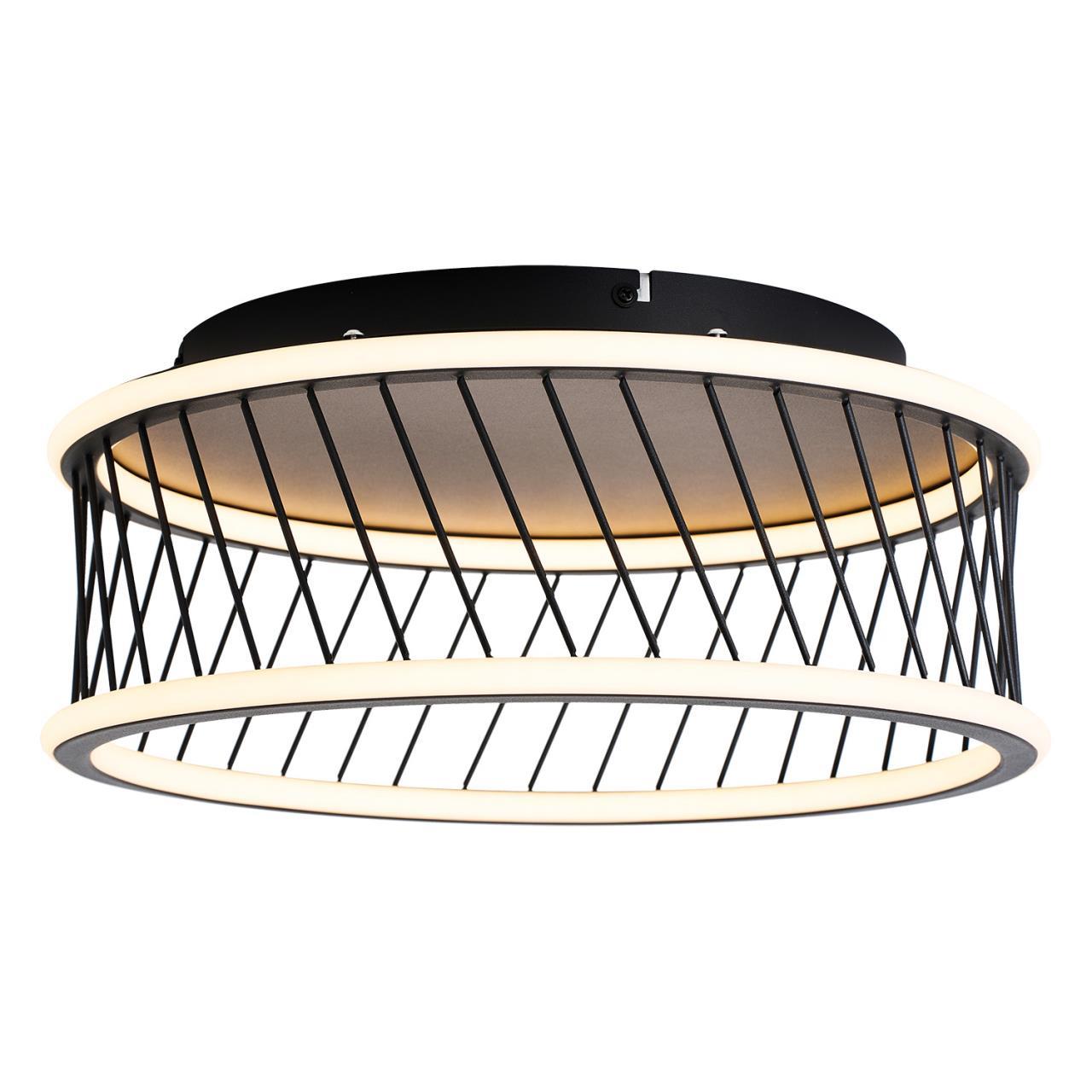 Дополнительная картинка Потолочный светильник Korg 4436-2C