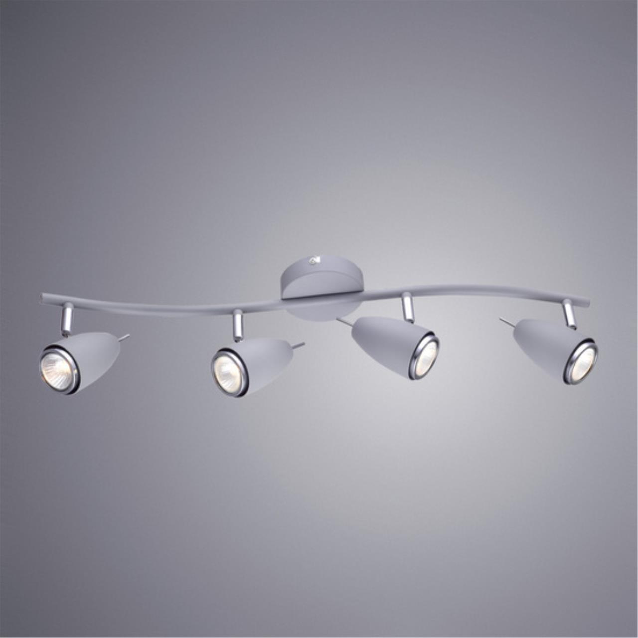 Дополнительная картинка Настенно-потолочный светильник Arte Lamp Regista A1966PL-4GY