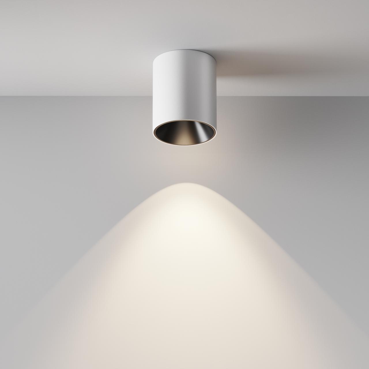 Дополнительная картинка Потолочный светильник Technical C064CL-12W4K-RD-WB