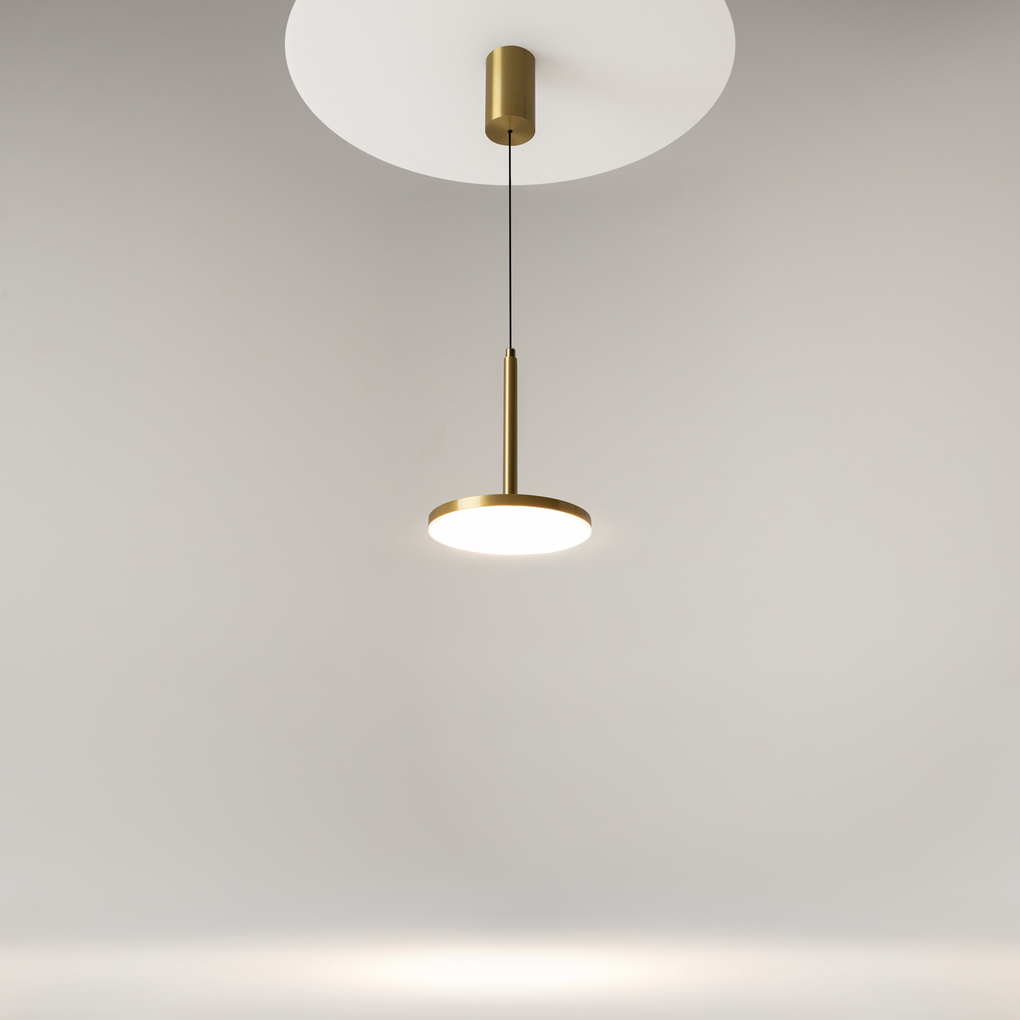 Дополнительная картинка Подвесной светильник Technical P076PL-L12W4K-BS