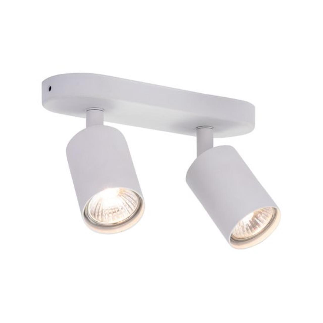 Дополнительная картинка Потолочный светильник Arte Lamp AQUARIUS A3226PL-2WH