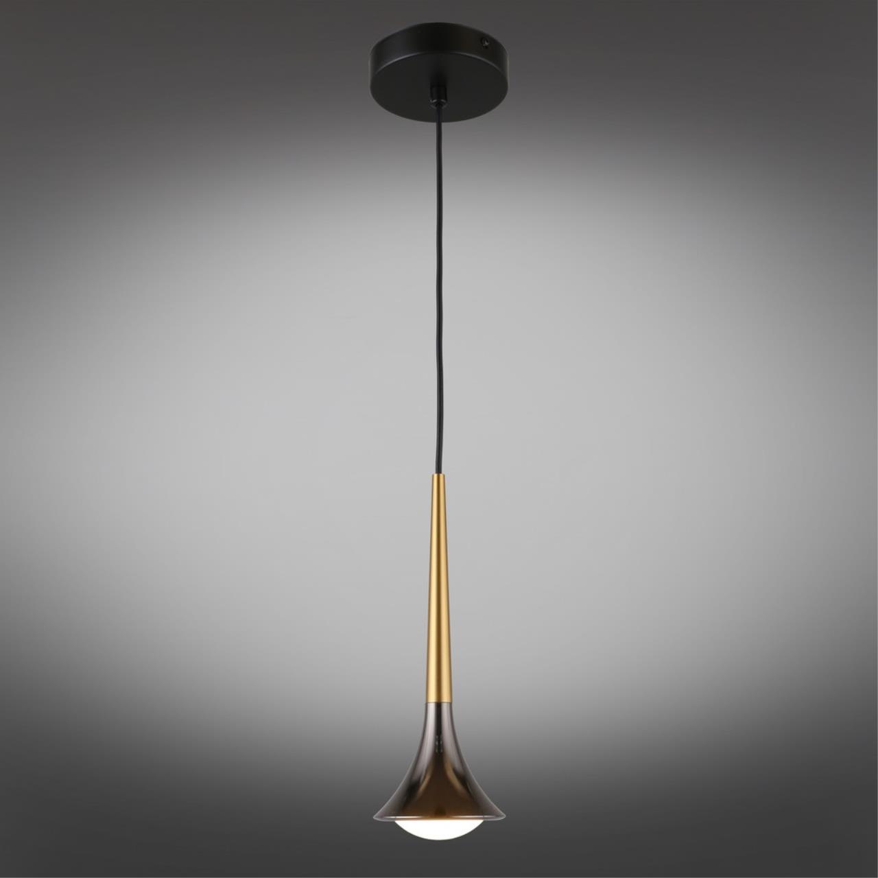 Картинка APL.784.06.01 Светильник подвесной Aployt Agas