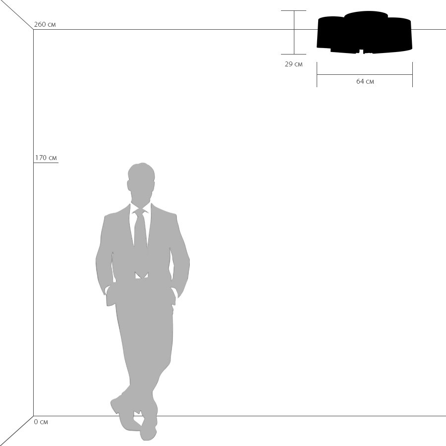 Картинка Потолочная люстра Lightstar Simple Light 811 811050