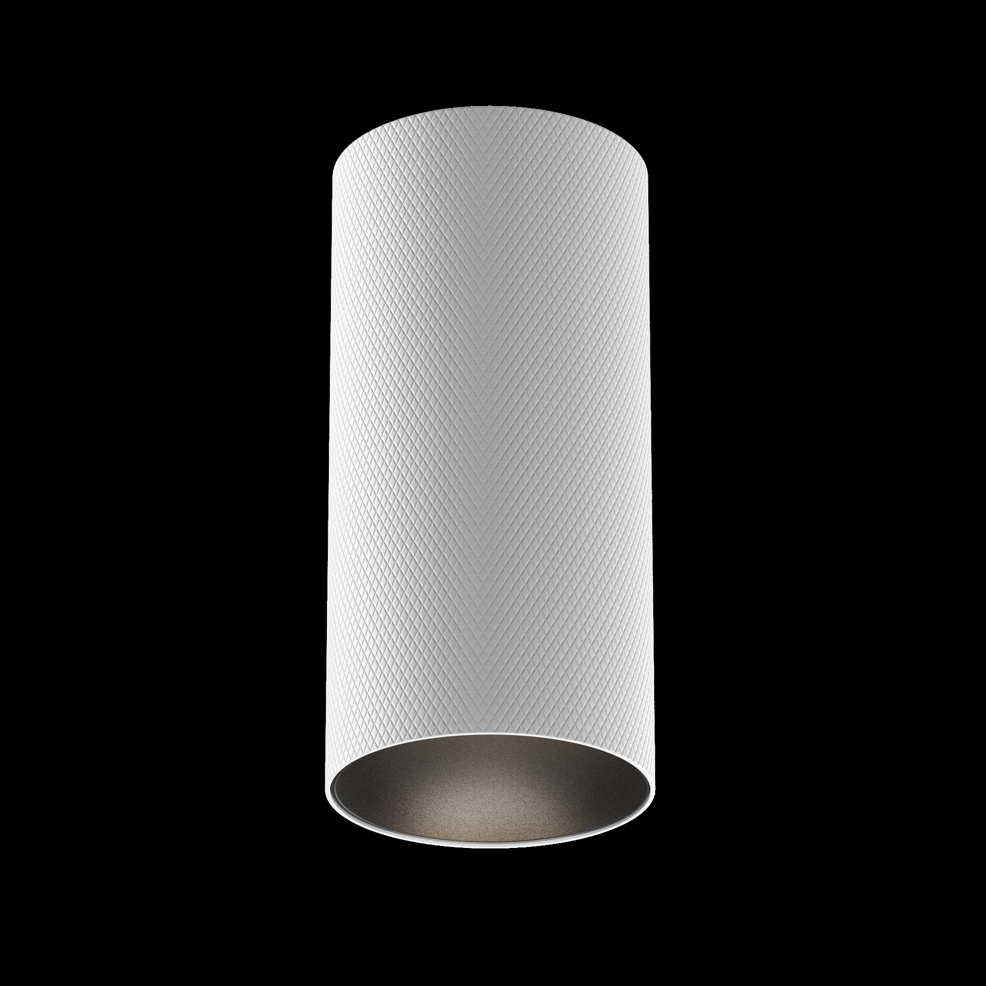 Дополнительная картинка Потолочный светильник Technical C080CL-01-GU10-W