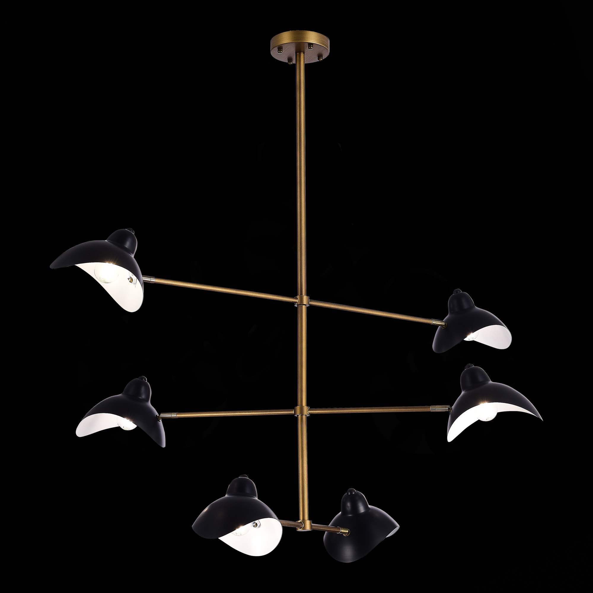 Картинка Подвесная люстра ST Luce Minne SL1801.303.06