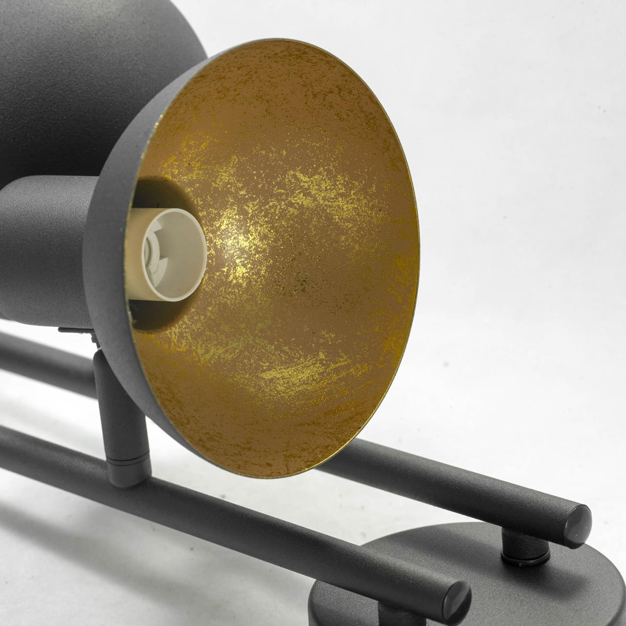 Картинка Спот Lussole Loft LSP-9976