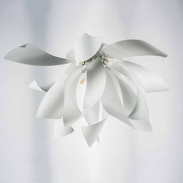 Дополнительная картинка Потолочная люстра Lightstar Turbio 754166