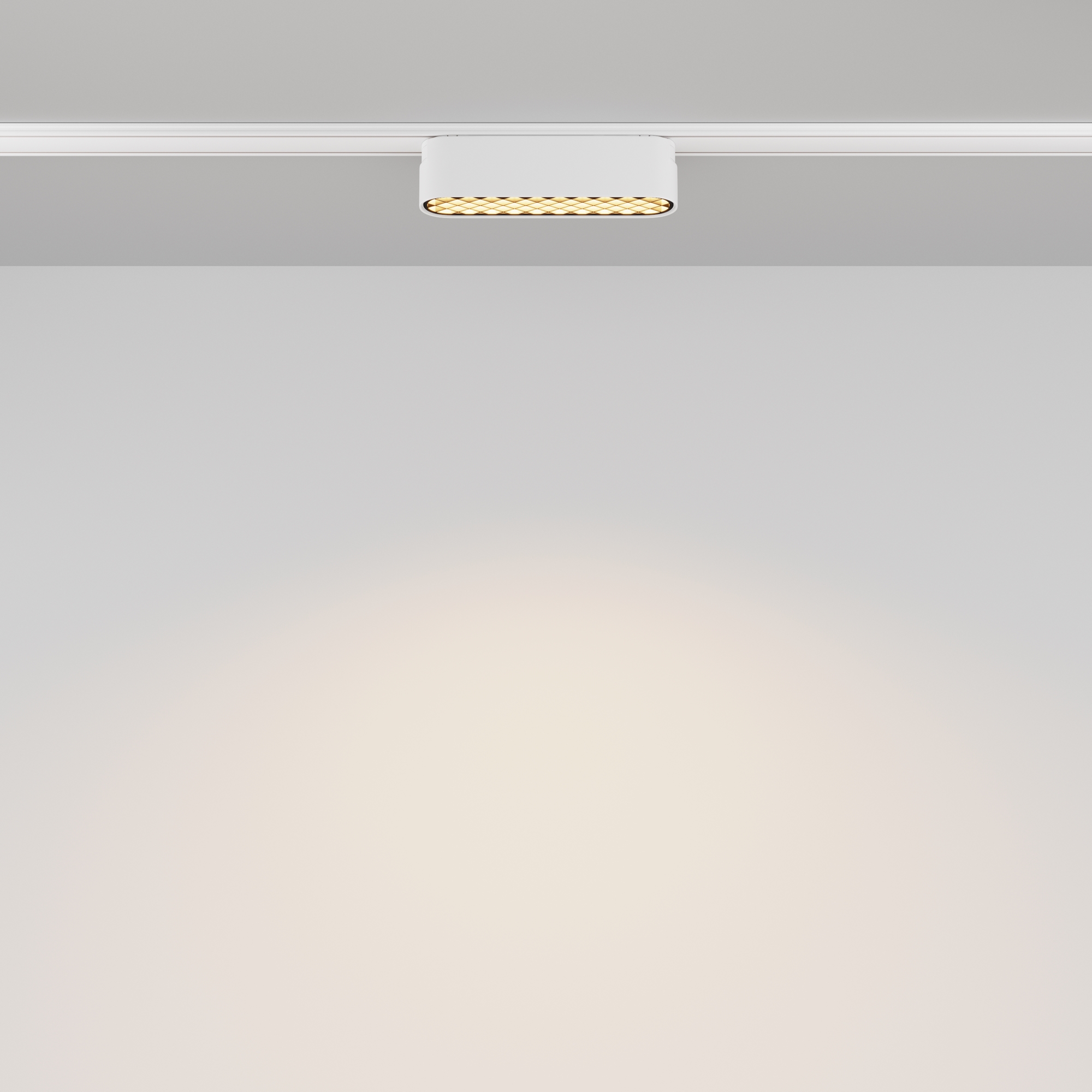 Дополнительная картинка Трековый светильник Technical TR084-1-6W3K-W