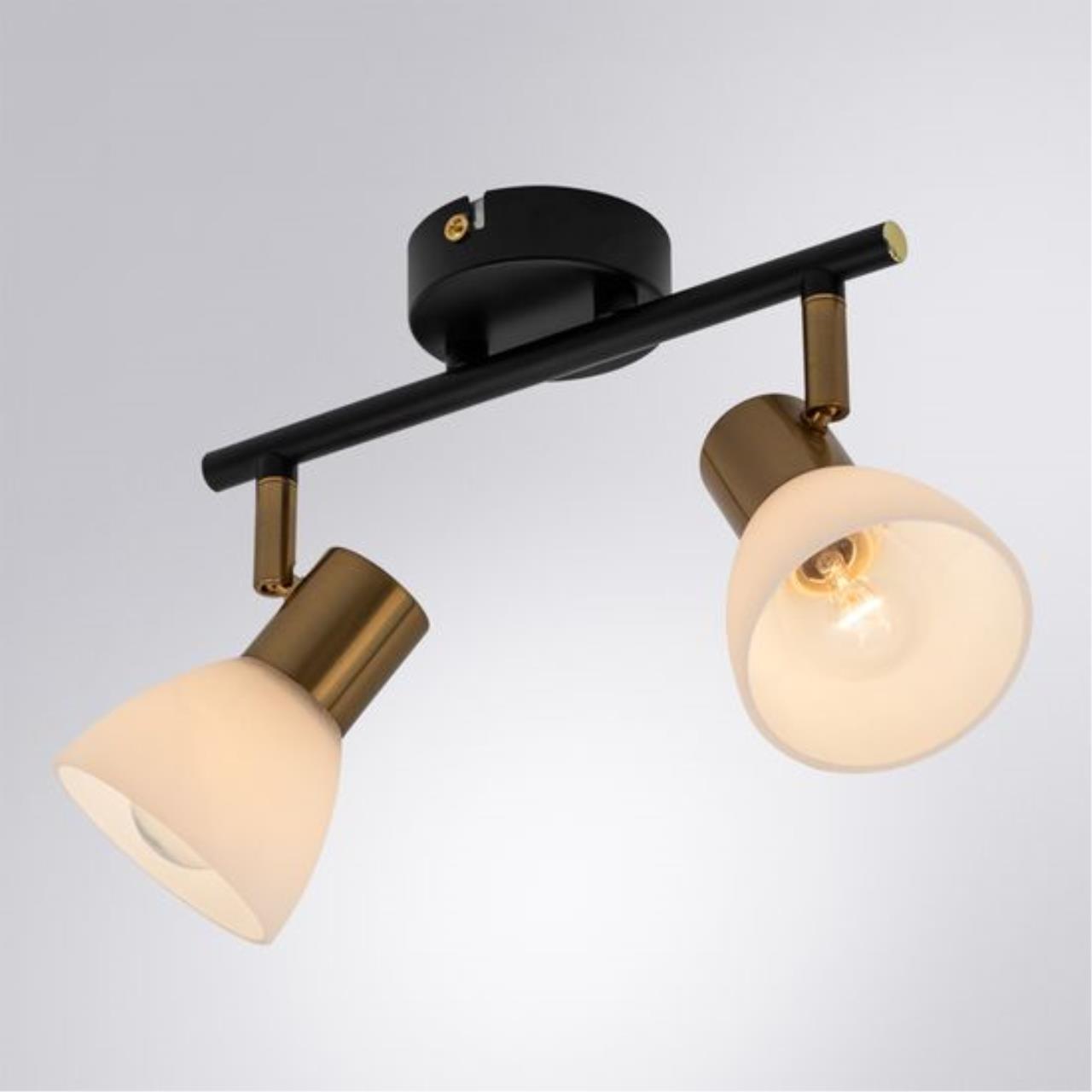 Дополнительная картинка Настенно-потолочный светильник Arte Lamp Falena A3117PL-2BK