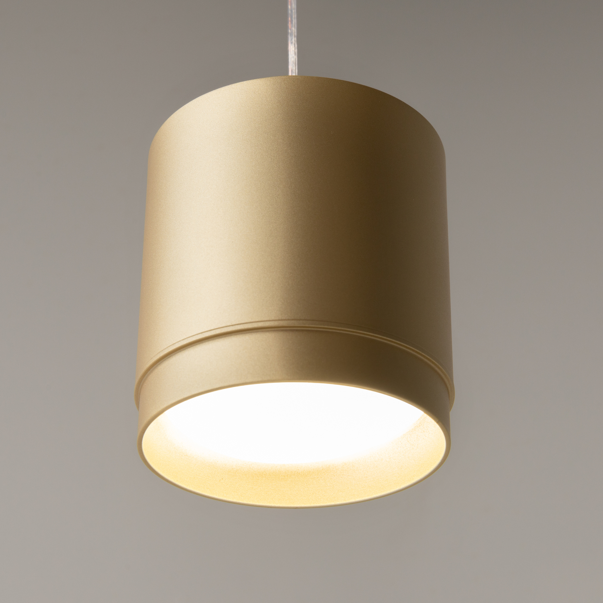 Дополнительная картинка Подвесной светильник Technical P088PL-GX53-MG