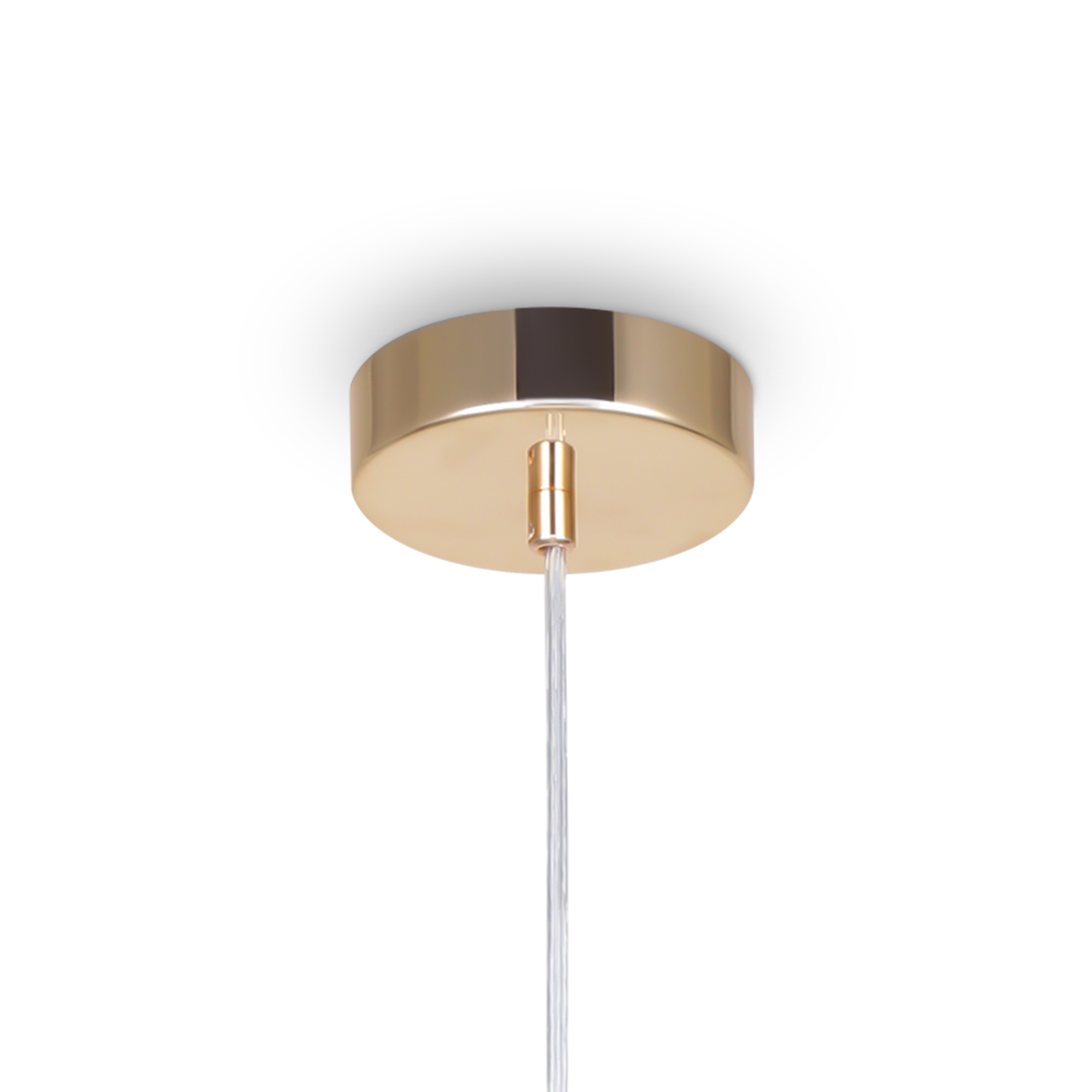 Дополнительная картинка Подвесной светильник Freya FR1010PL-01G