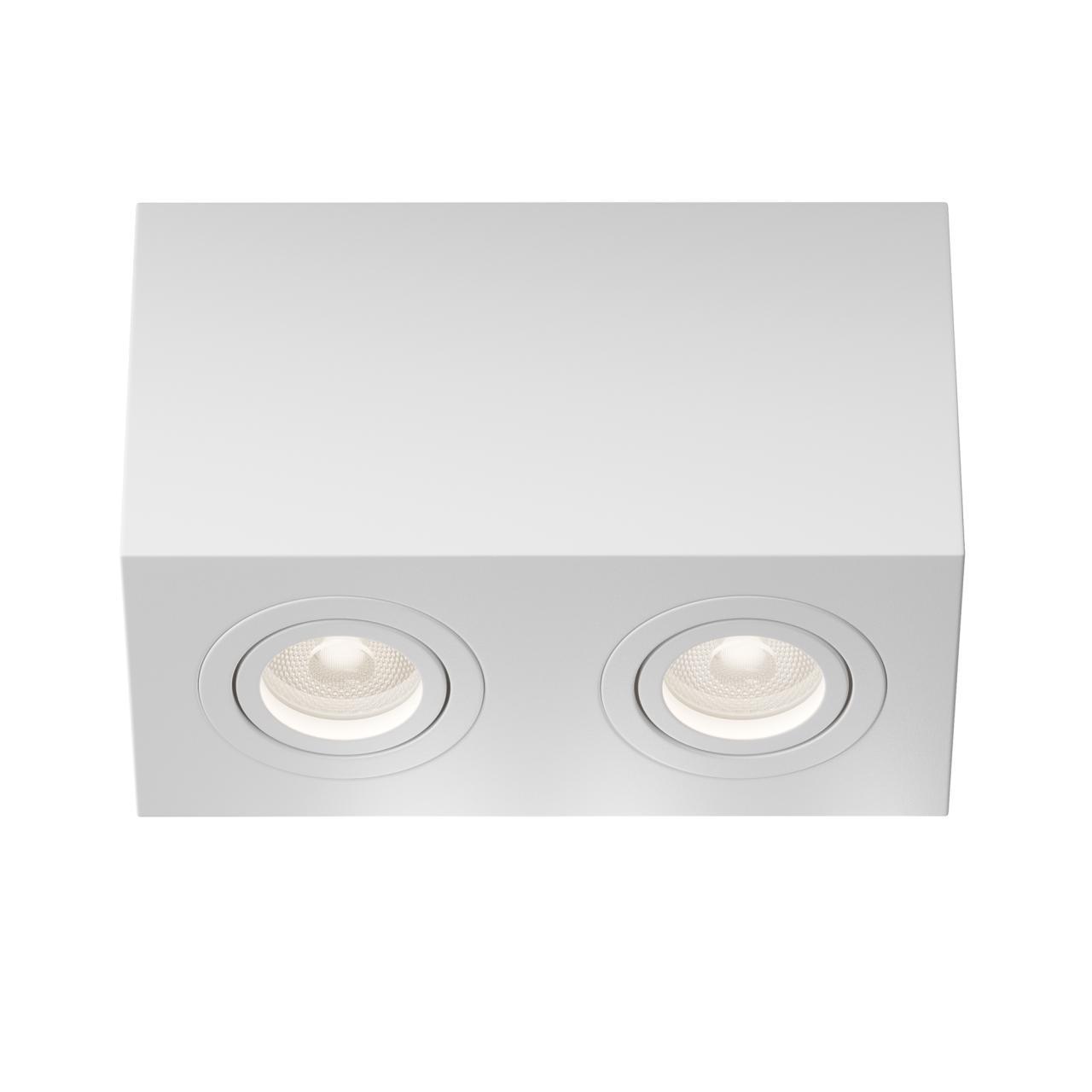Дополнительная картинка Потолочный светильник Technical C017CL-02W