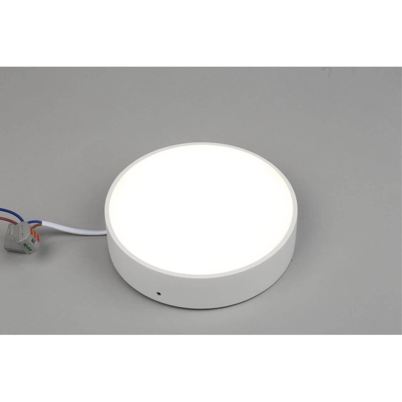 Картинка Потолочный светодиодный светильник Aployt Evon APL.0114.09.18