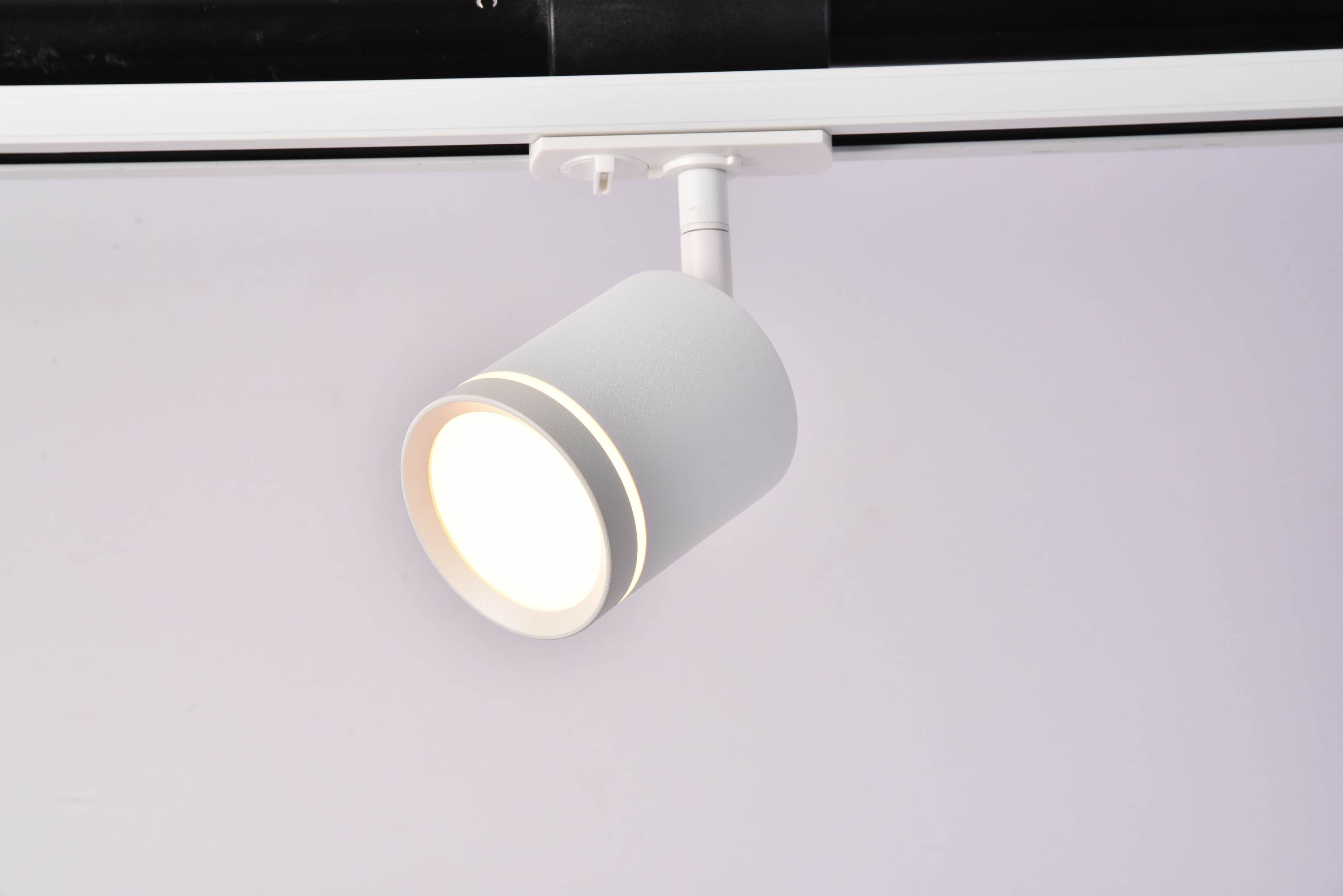 Дополнительная картинка Трековый светильник Technical TR085-1-5W4K-W