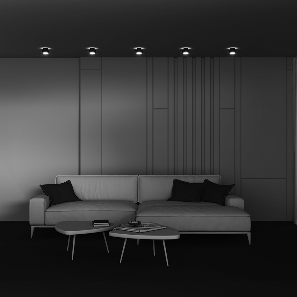 Дополнительная картинка Потолочный светильник Technical C092CL-GX53-B