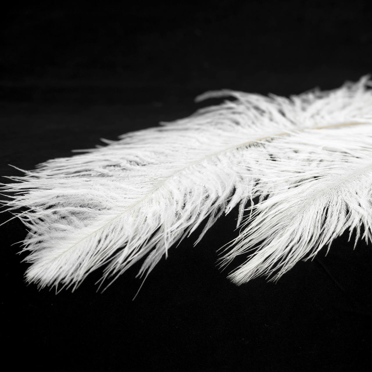 Дополнительная картинка Люстра Lussole LSP-8601