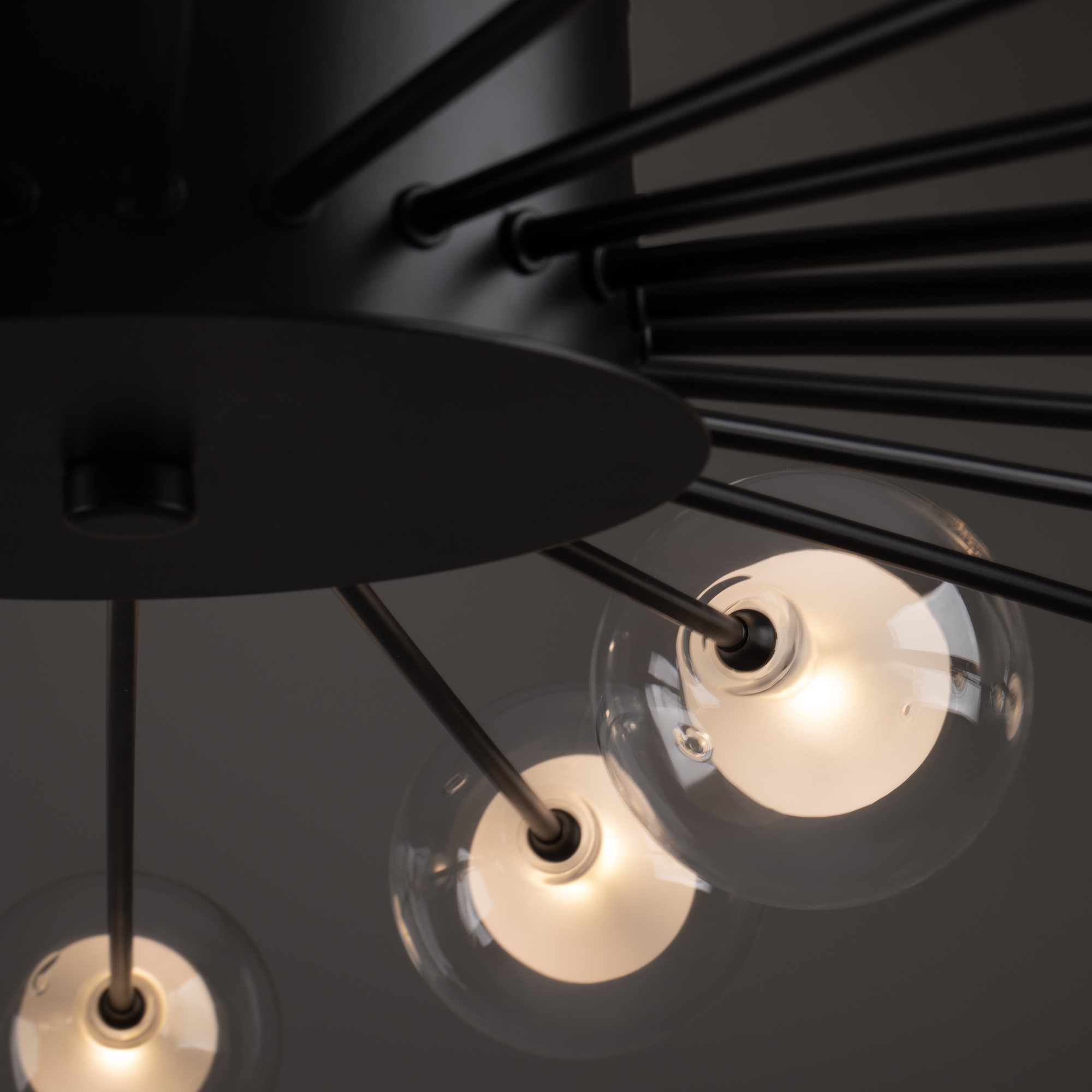 Картинка Потолочная люстра Freya FR5242CL-24B1