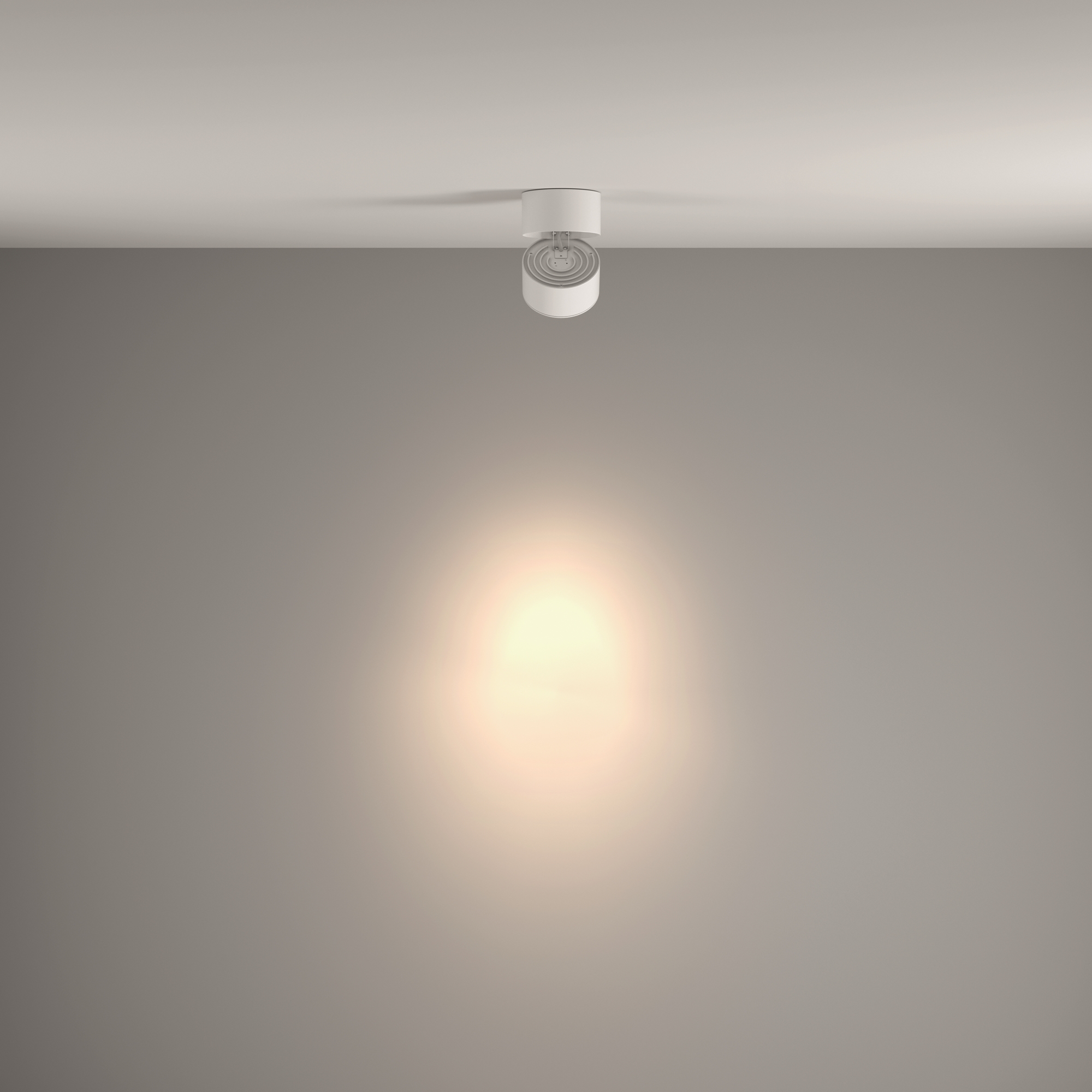 Дополнительная картинка Потолочный светильник Technical C084CL-15W4K-W