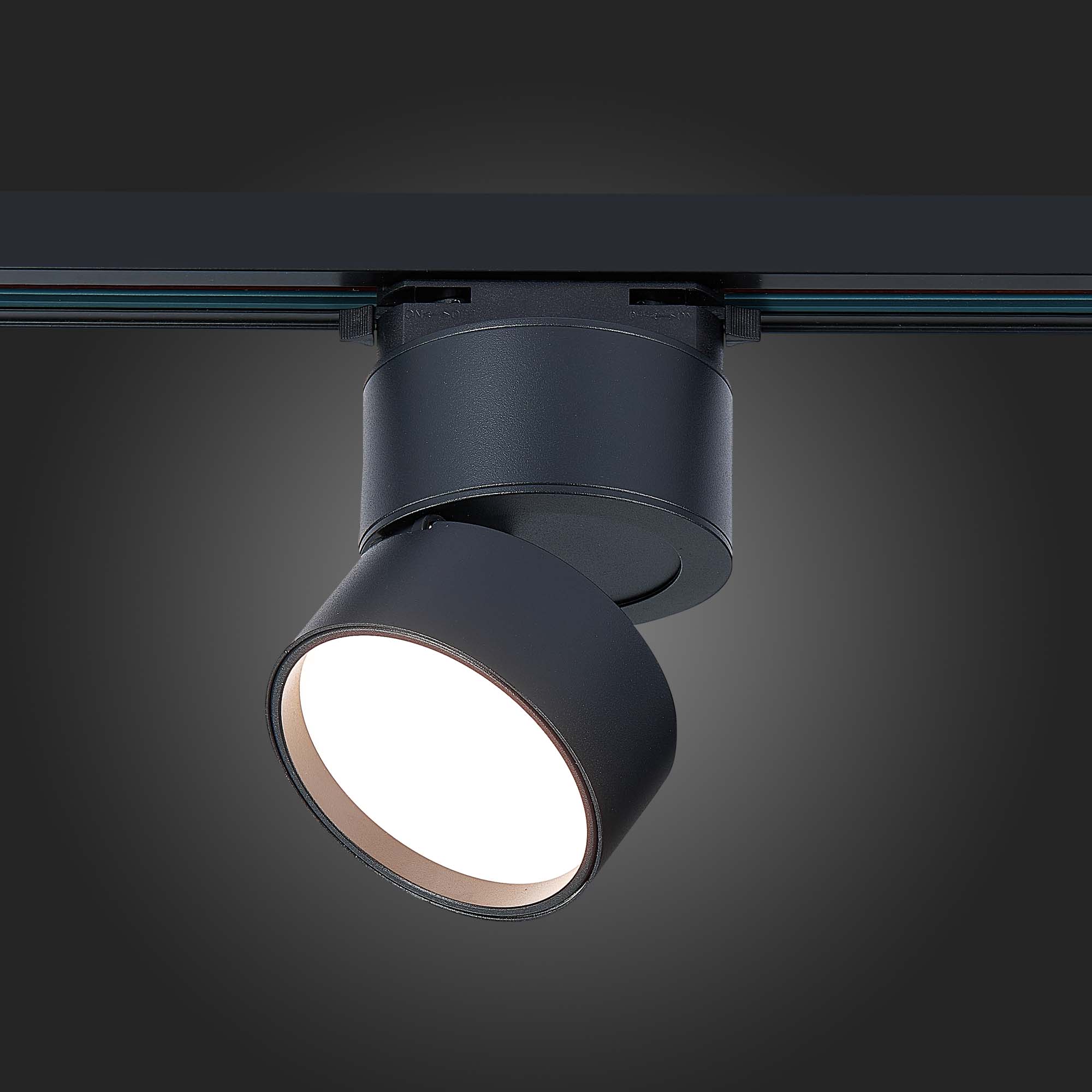 Картинка Трековый светодиодный светильник ST Luce ST651.436.09