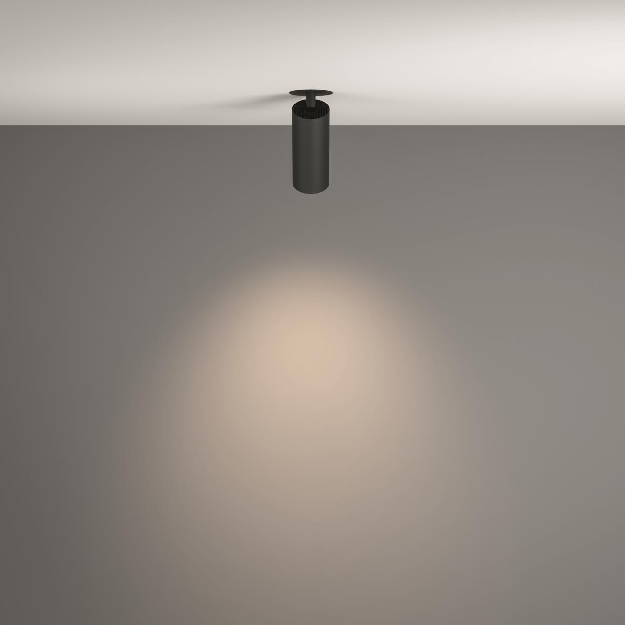 Дополнительная картинка Потолочный светильник Technical C053CL-L12W4K-W-B