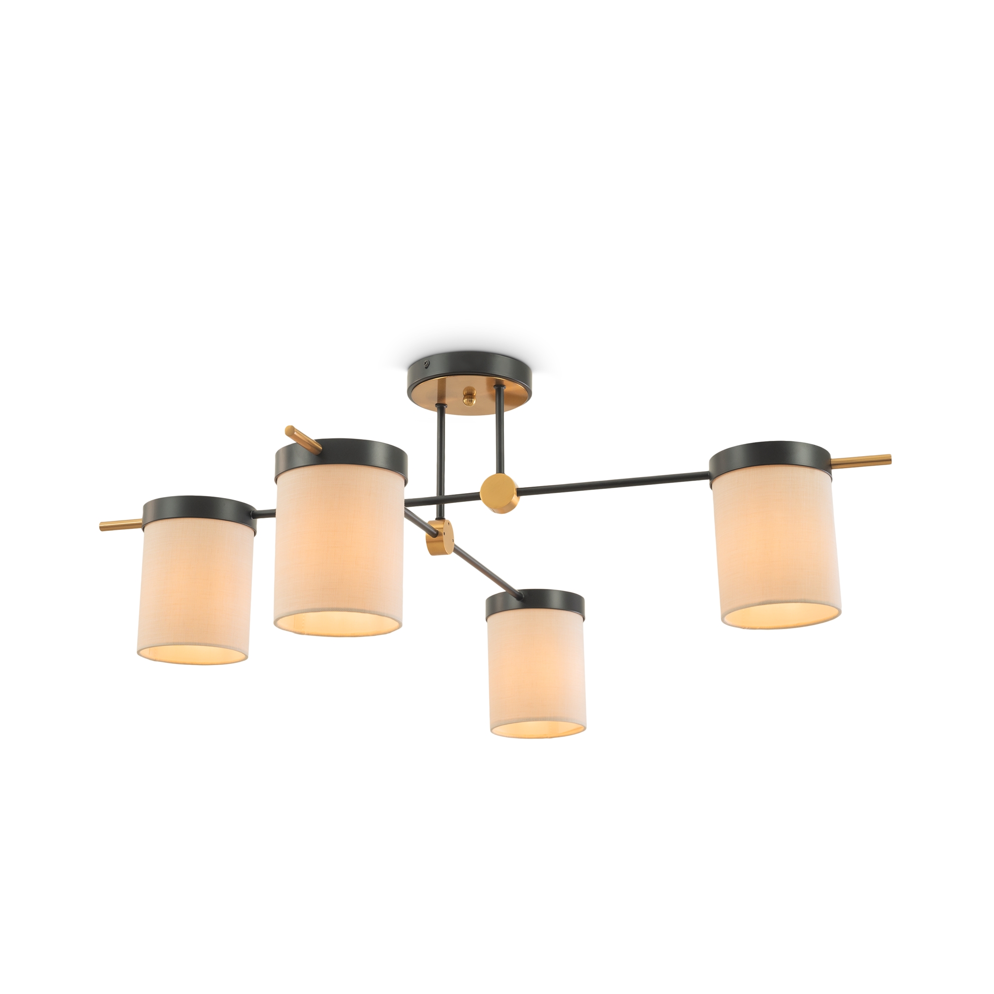 Дополнительная картинка Потолочный светильник Freya FR5377CL-04B