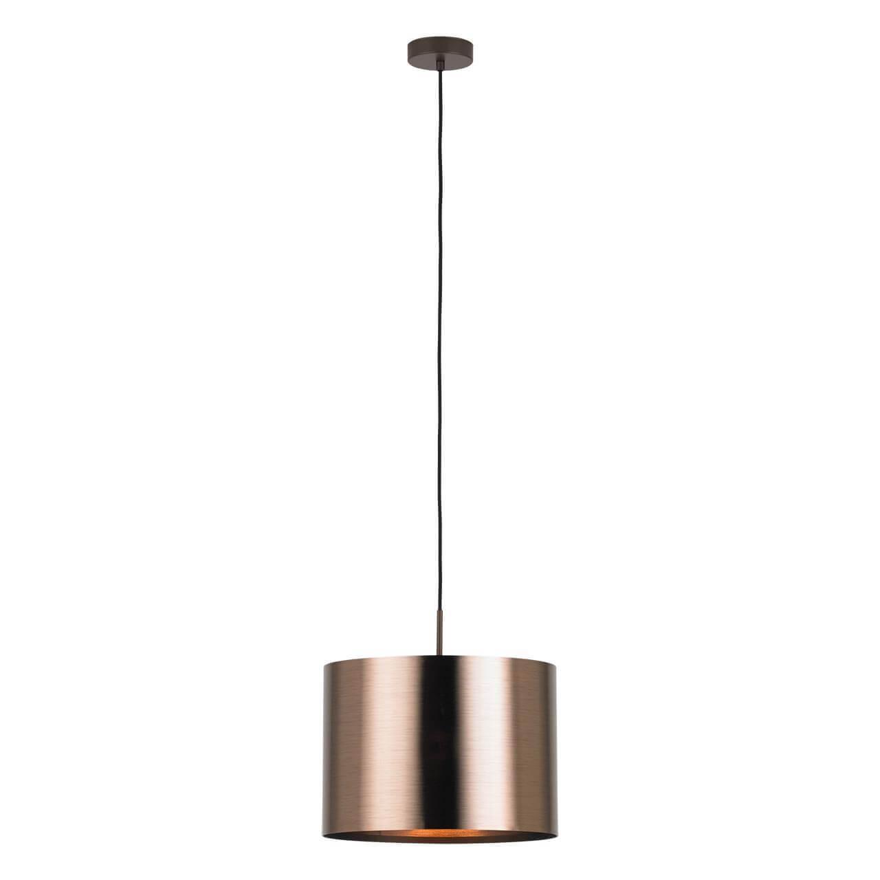 Картинка Подвесной светильник Eglo Saganto 1 39355