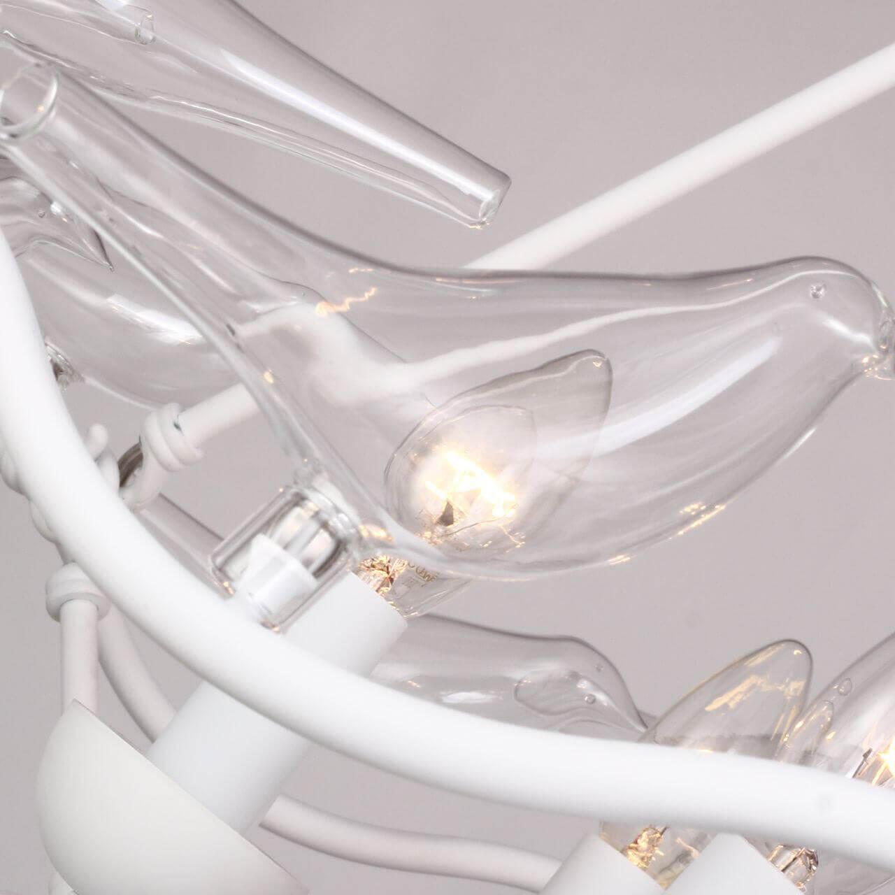 Картинка Подвесной светильник Favourite Pajaritos 1751-6P