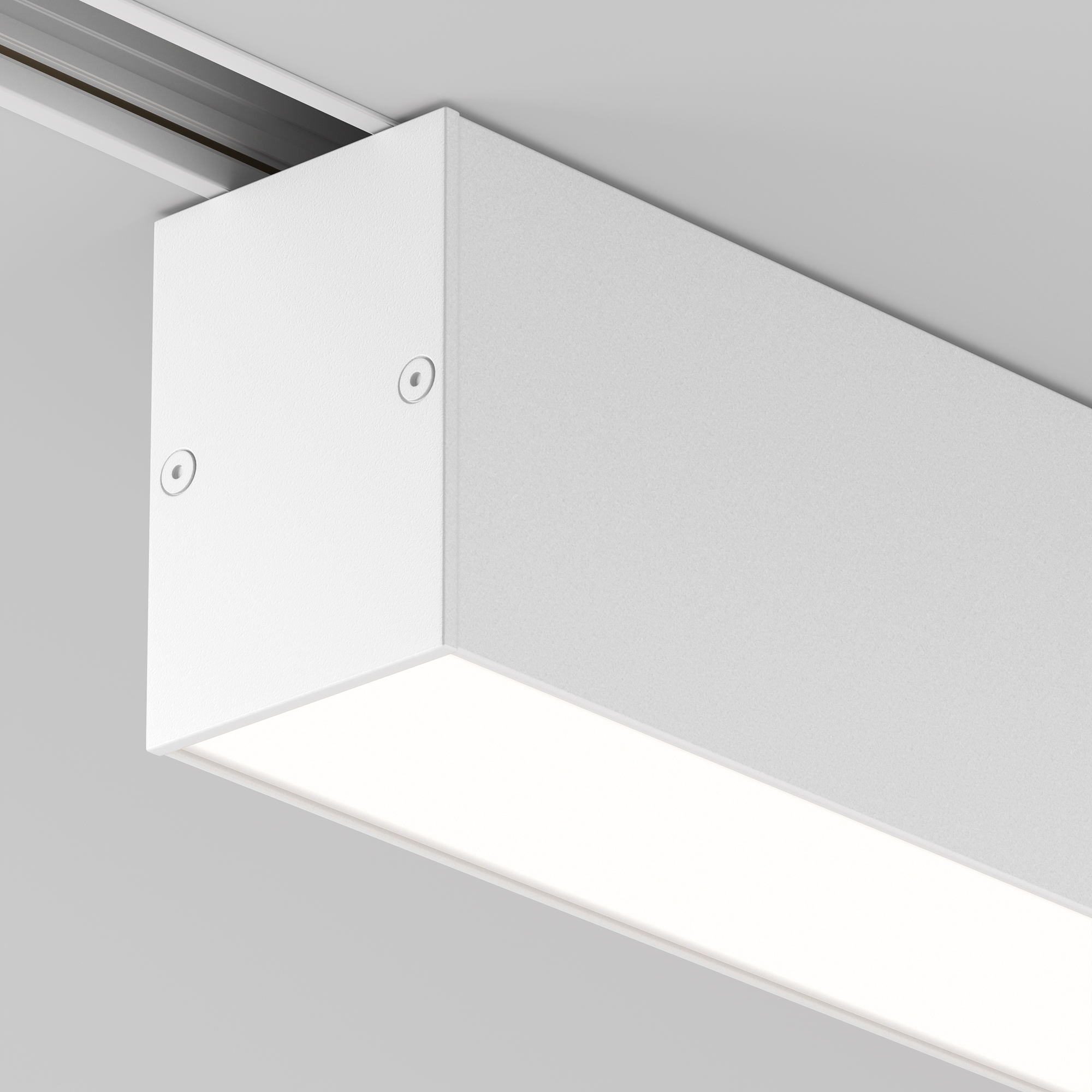 Дополнительная картинка Трековый светильник Technical TR012-2-20W4K-W