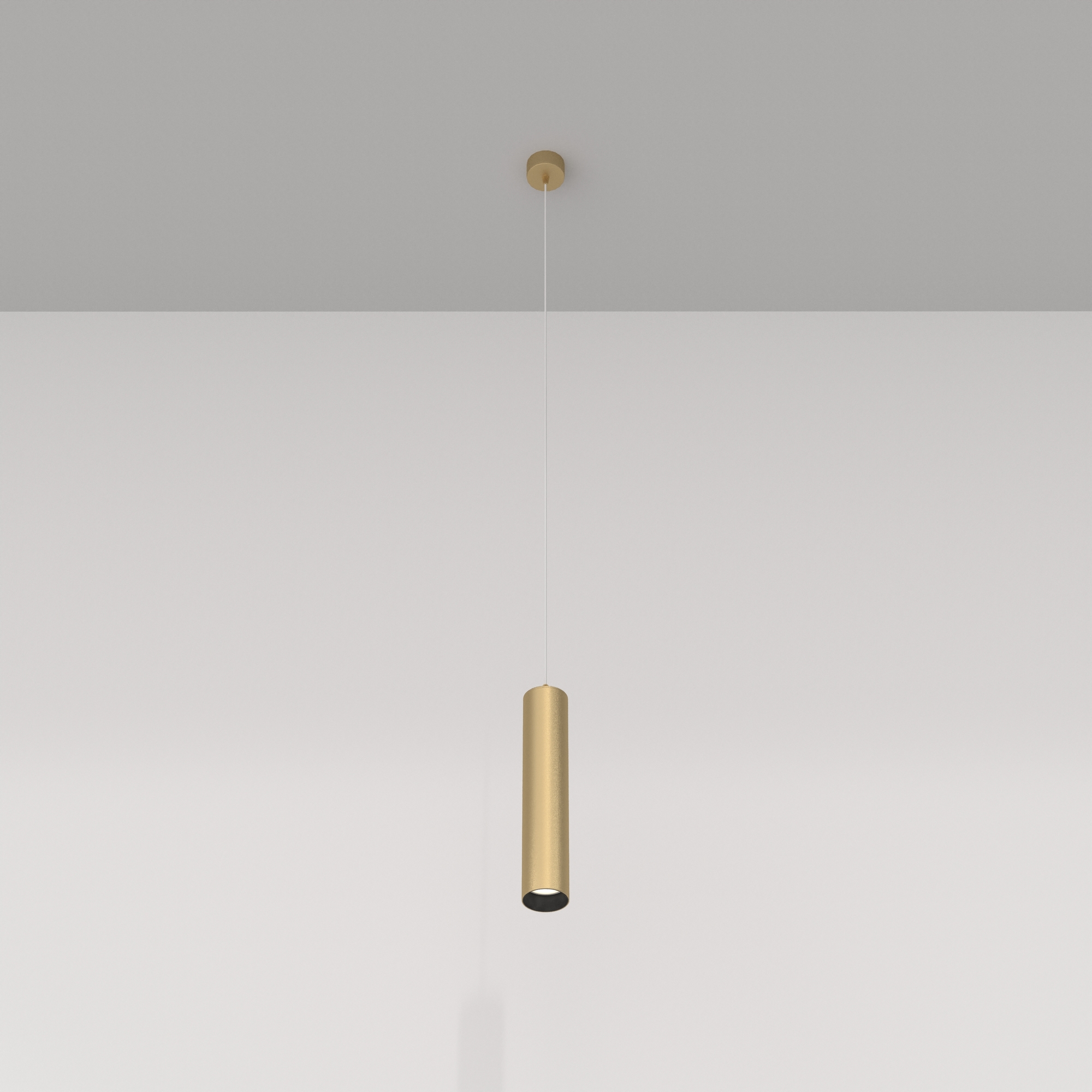 Дополнительная картинка Подвесной светильник Technical P075PL-01MG