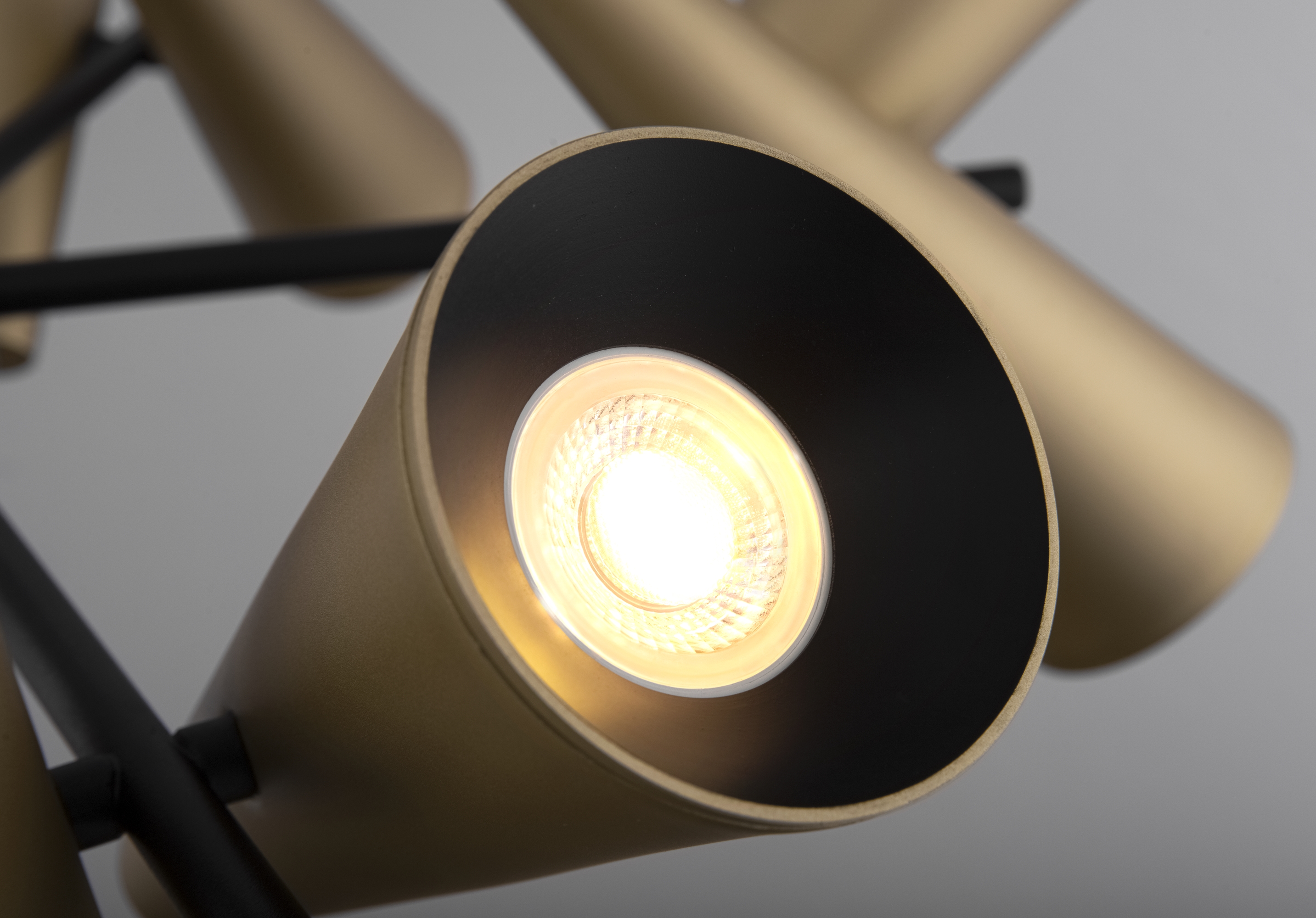 Дополнительная картинка Подвесной светильник Maytoni MOD095PL-10BS