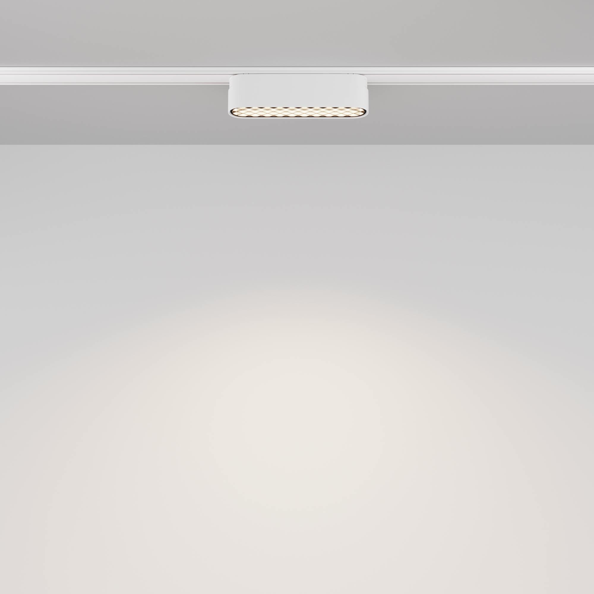 Дополнительная картинка Трековый светильник Technical TR084-1-6W4K-W